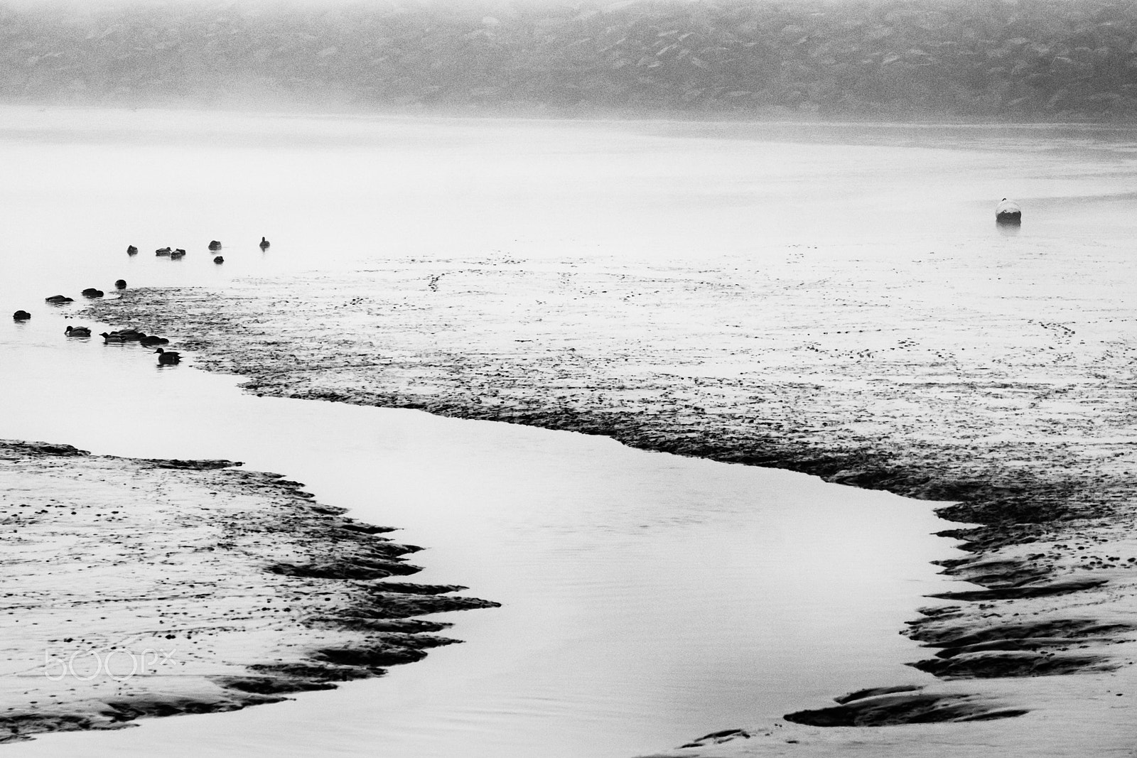 Fujifilm XF 55-200mm F3.5-4.8 R LM OIS sample photo. Méandre... photography