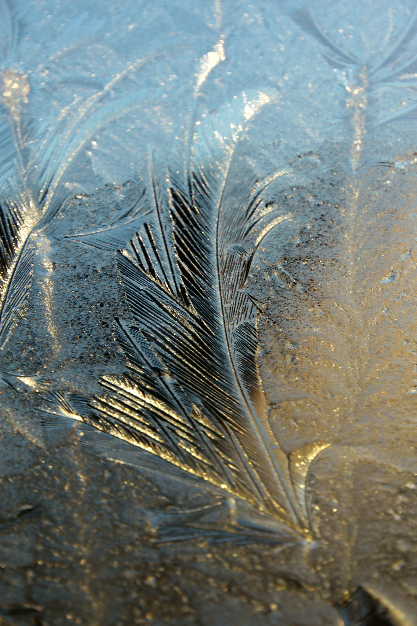 Canon EF-S 18-55mm F3.5-5.6 II sample photo. Glace photography