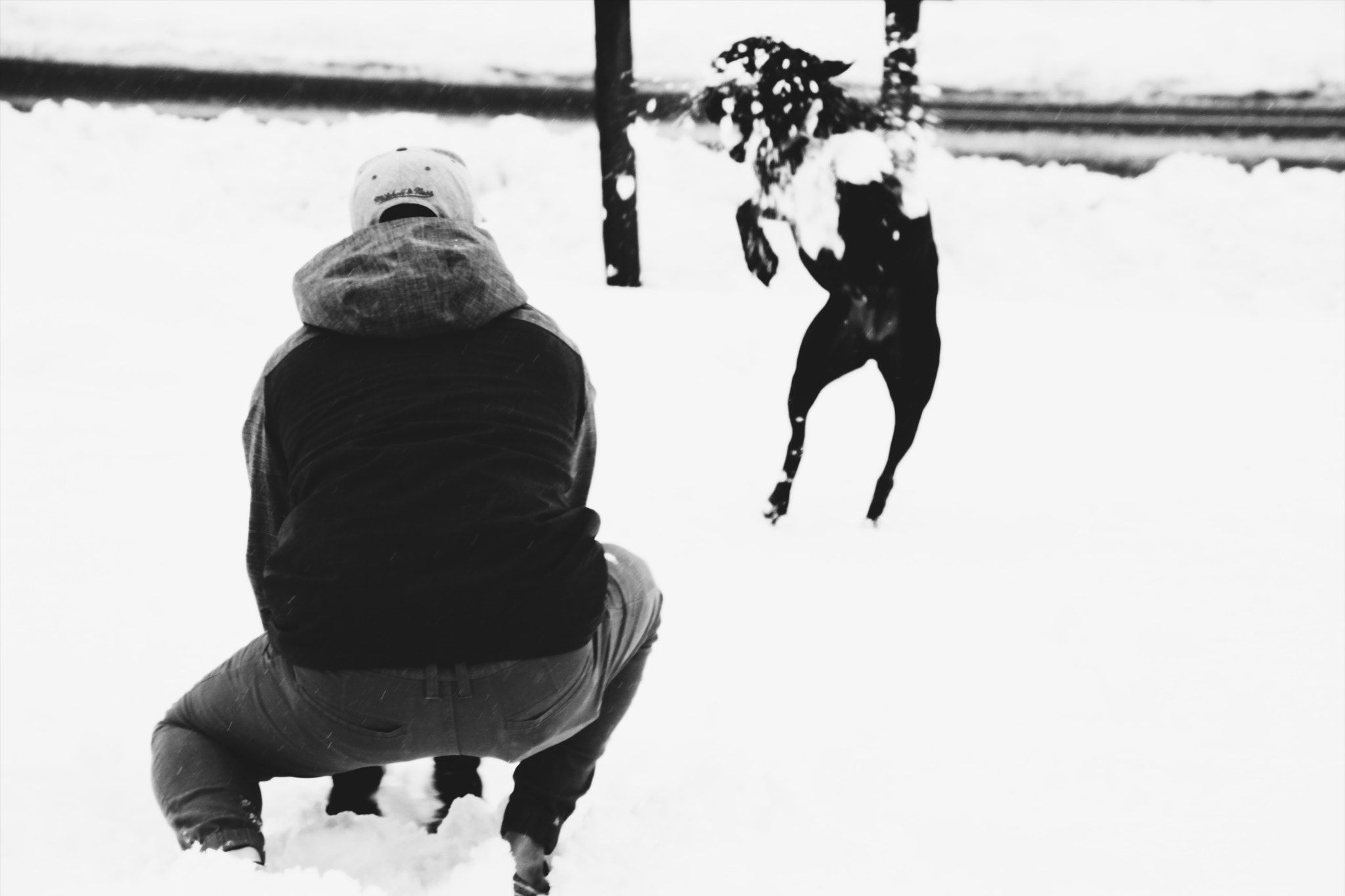 Canon EOS 700D (EOS Rebel T5i / EOS Kiss X7i) + Canon TAMRON 16-300mm F/3.5-6.3 Di II VC PZD B016 sample photo. A boy, his dog and a snow day. photography