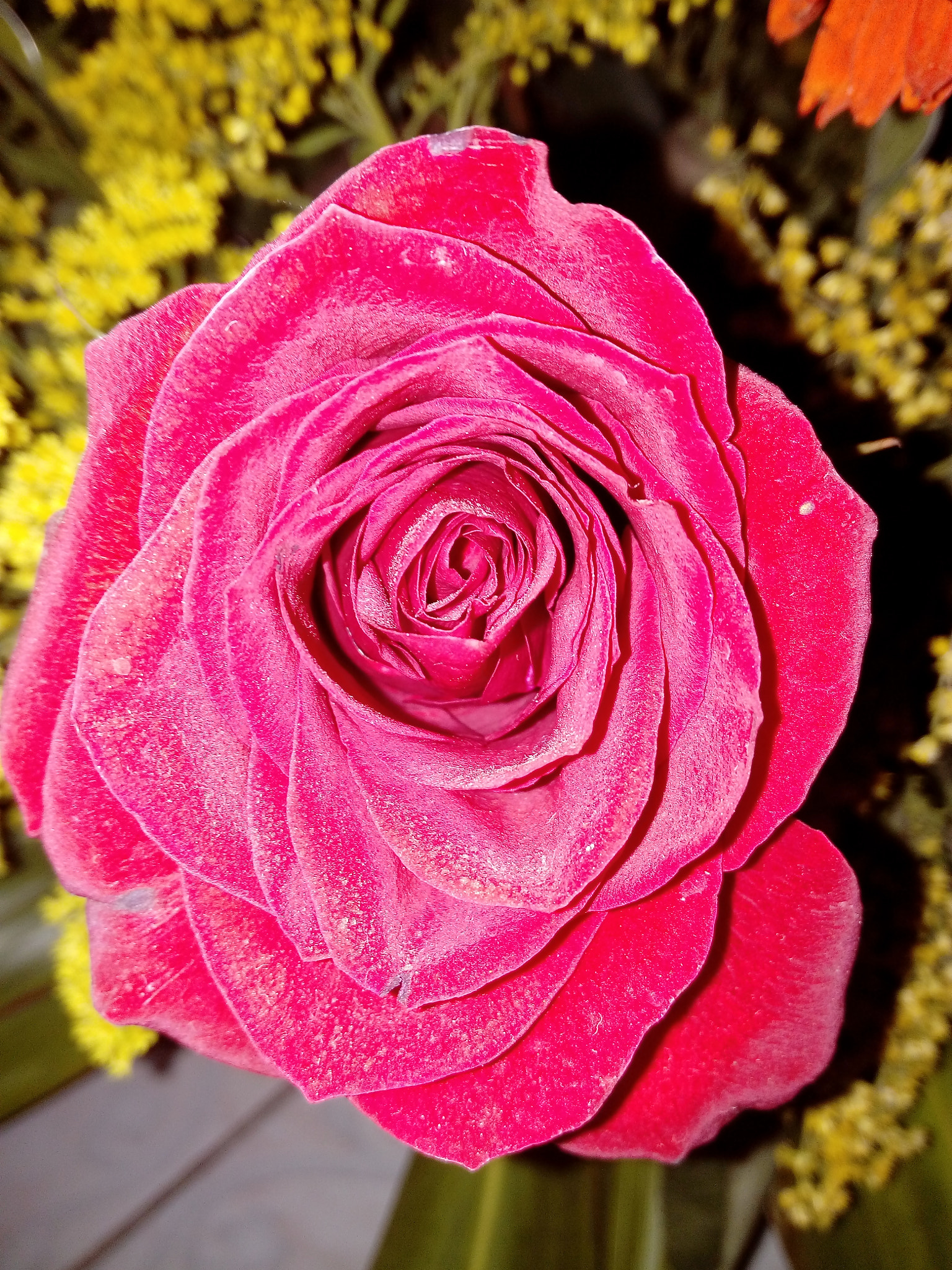 HUAWEI GR3 sample photo