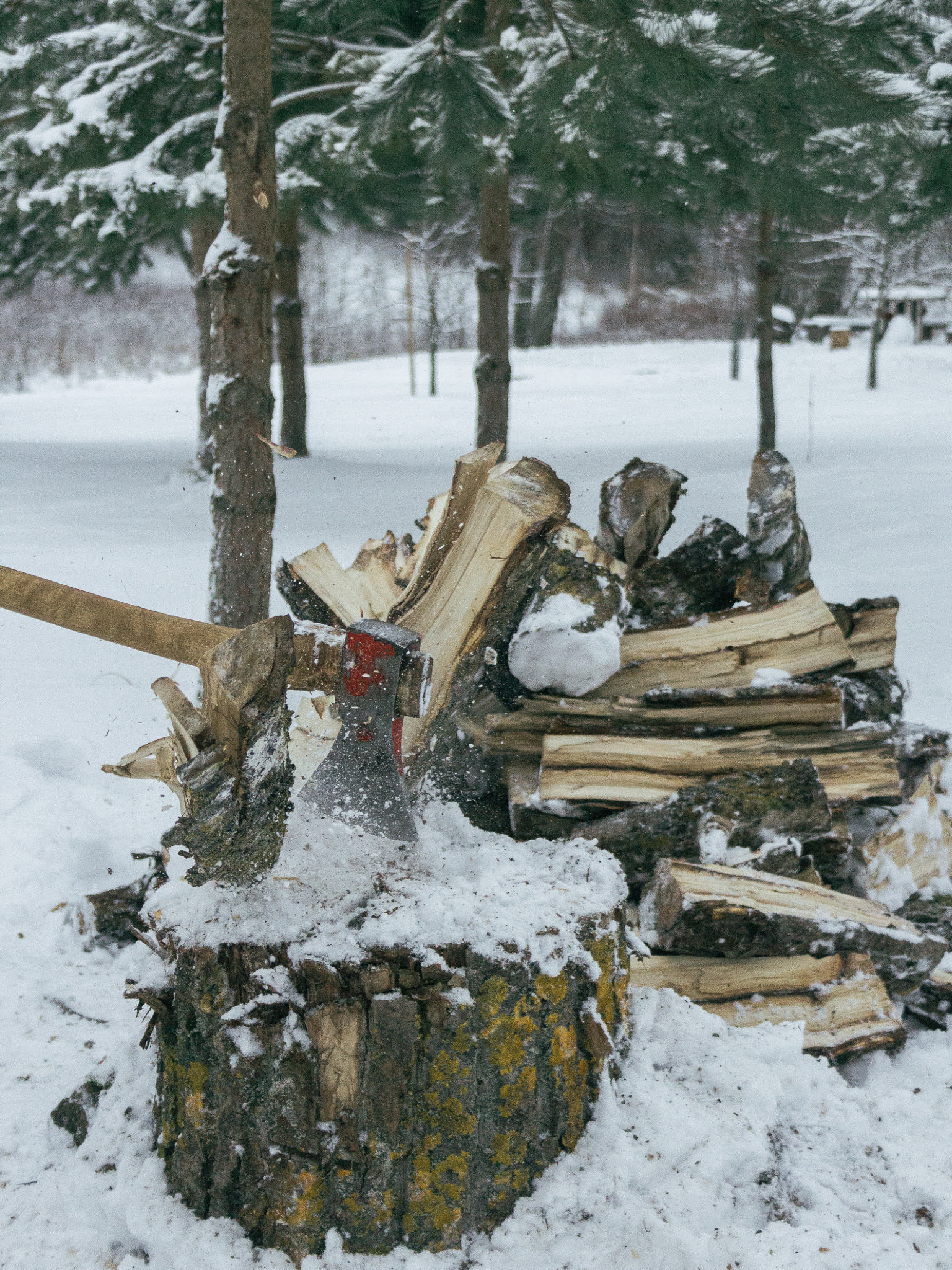 Canon EF-S 18-55mm F3.5-5.6 II sample photo. Out of wood photography