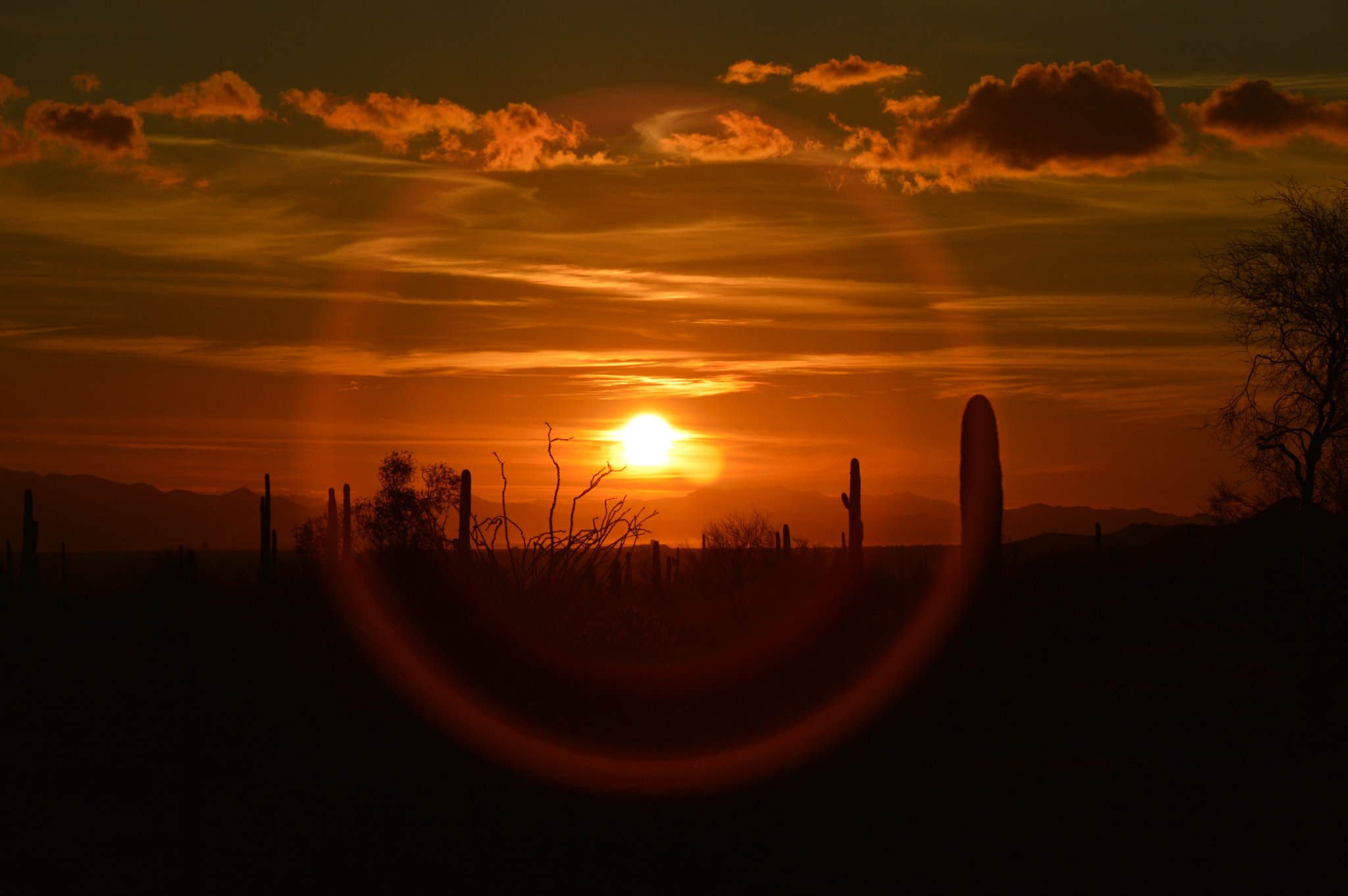 Nikon D3200 sample photo. Sunset ring photography