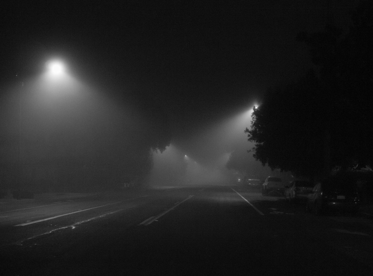 Panasonic Lumix DMC-GX1 sample photo. Evening fog  (san jose ca us) photography