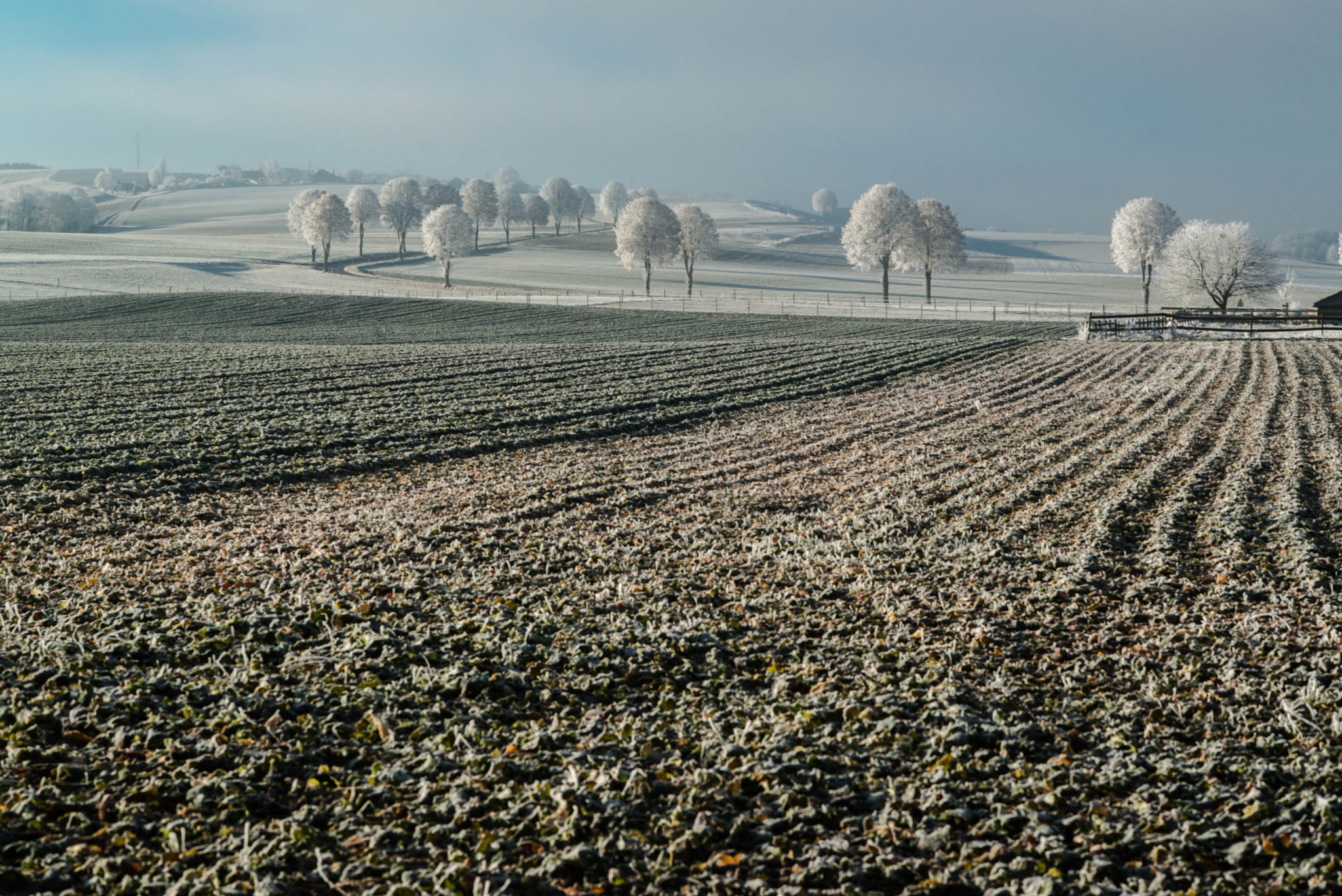 Nikon D800E sample photo. "il en est des paysages comme des hommes; il faut un peu les vivre pour pénétrer leurs secrets."... photography