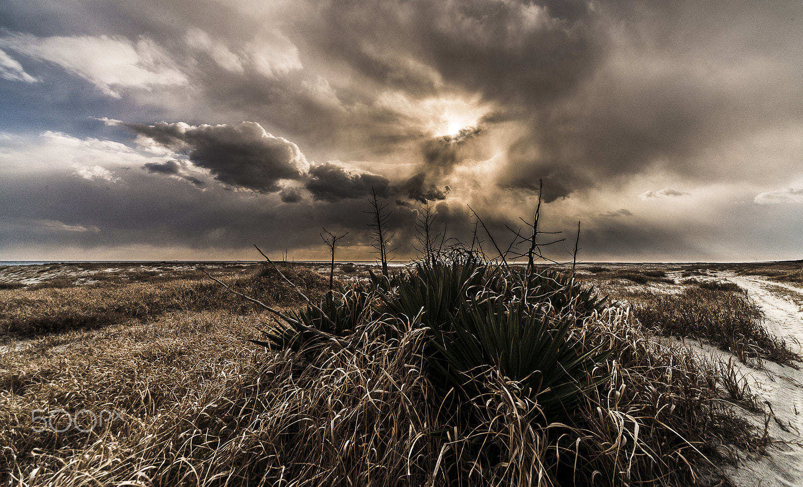 Nikon D800 sample photo. Winter sky photography