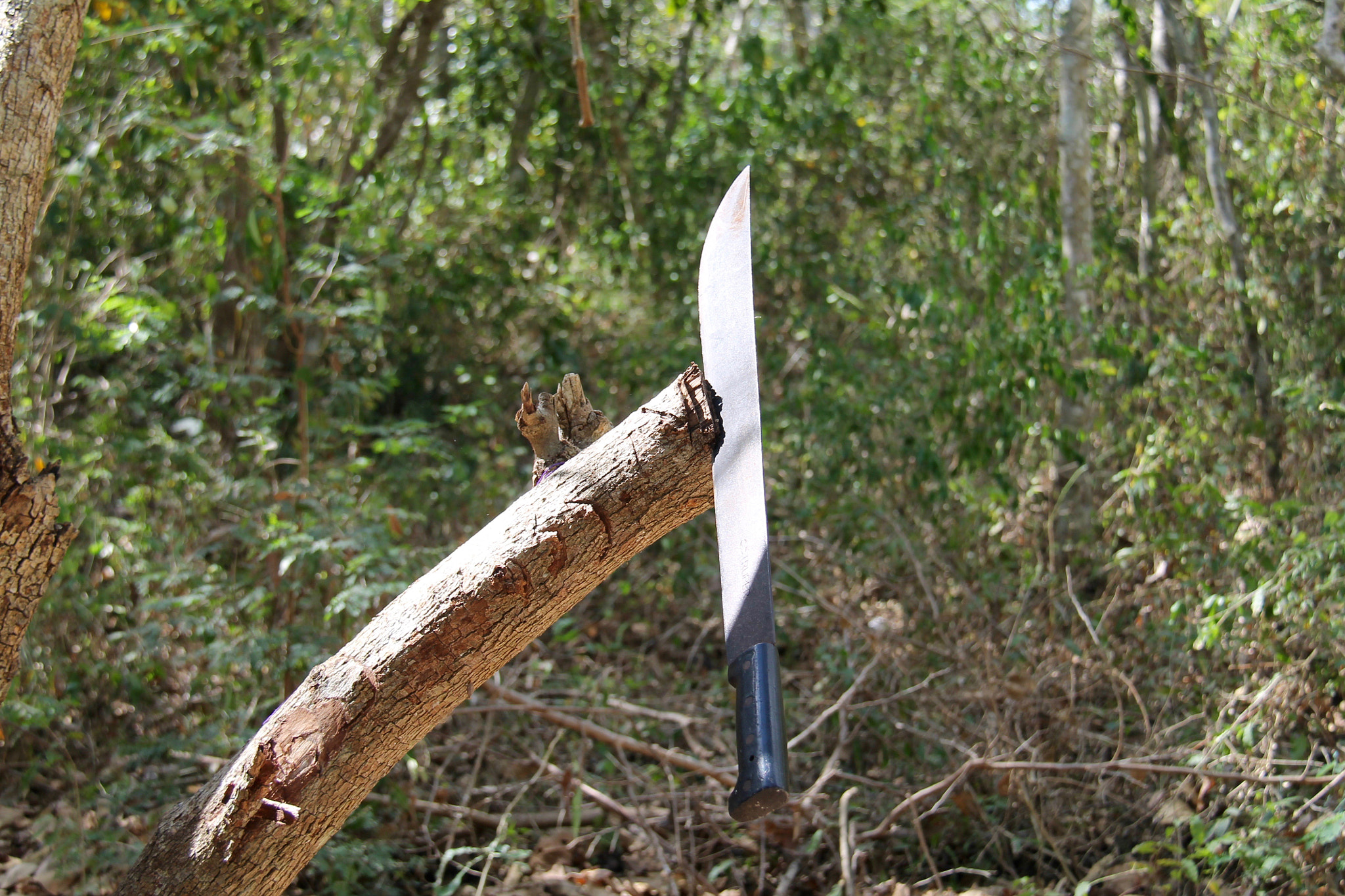 Canon EF-S 18-200mm F3.5-5.6 IS sample photo. Machete photography