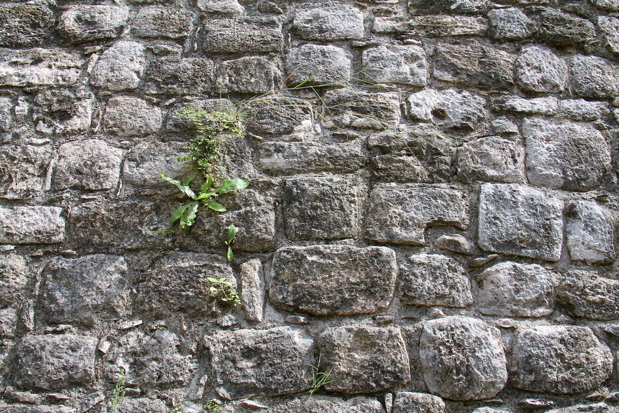 Canon EF-S 18-200mm F3.5-5.6 IS sample photo. Maya masonry photography