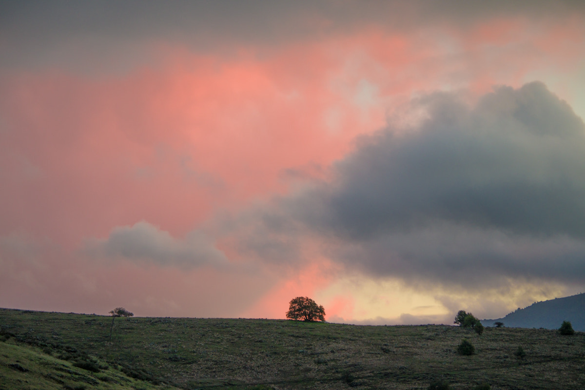 Pentax smc DA 50-200mm F4-5.6 ED WR sample photo. Sunset photography