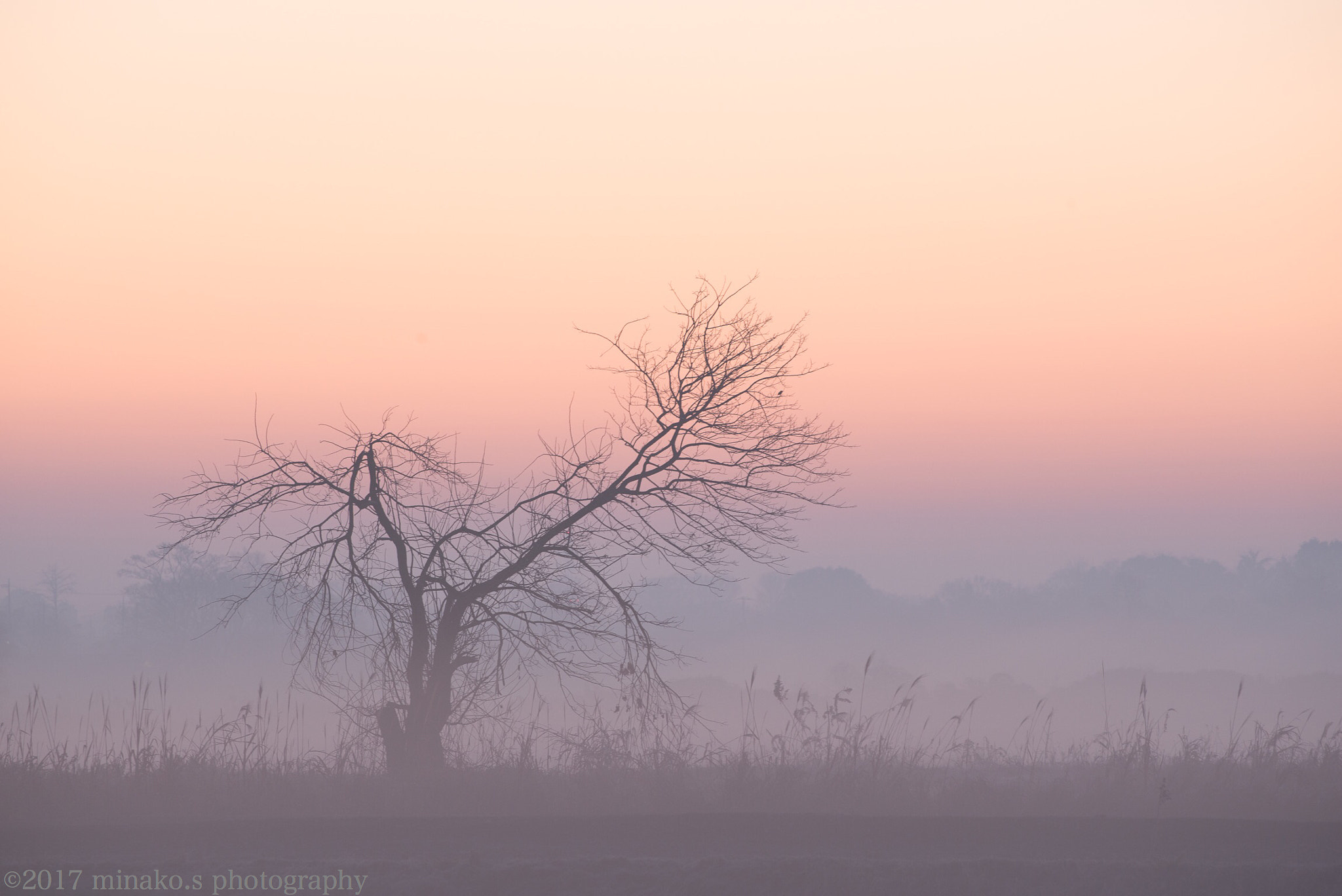 Nikon D800 sample photo. Dying sky photography