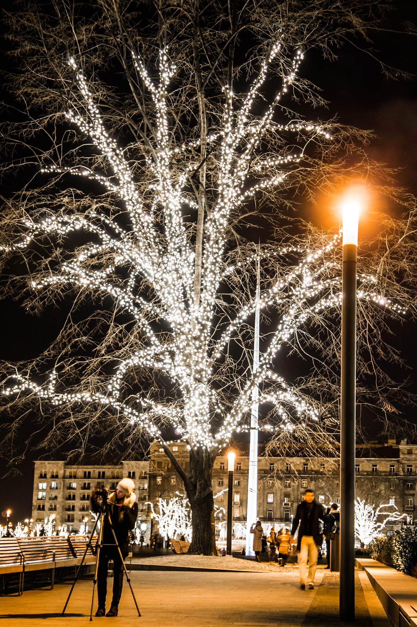 Sony Alpha NEX-3 sample photo. Christmas photography