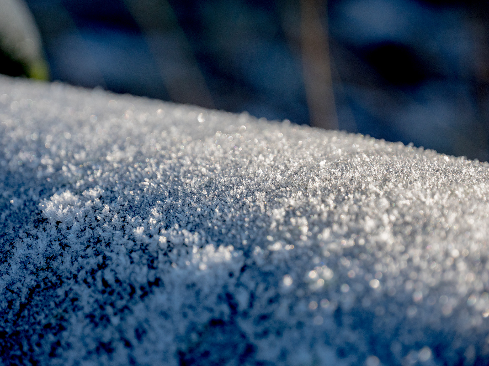Panasonic Lumix DMC-GH4 sample photo. Ice on sofa photography