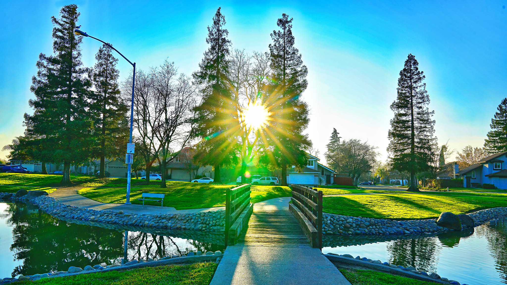 Sony FE 24-70mm F2.8 GM sample photo. Panella park in my hometown of stockton, ca. natur ... photography