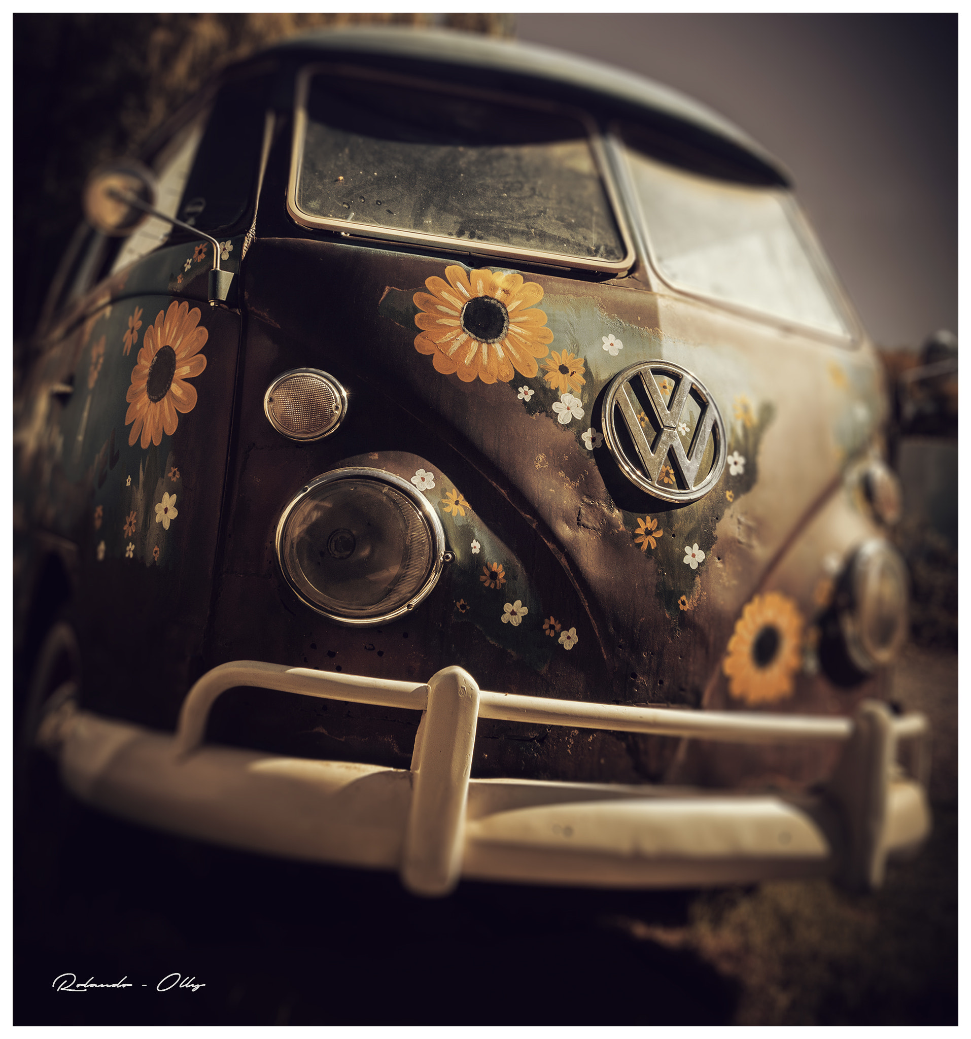 Canon EOS 7D Mark II + Sigma 18-250mm F3.5-6.3 DC OS HSM sample photo. A vw ride photography