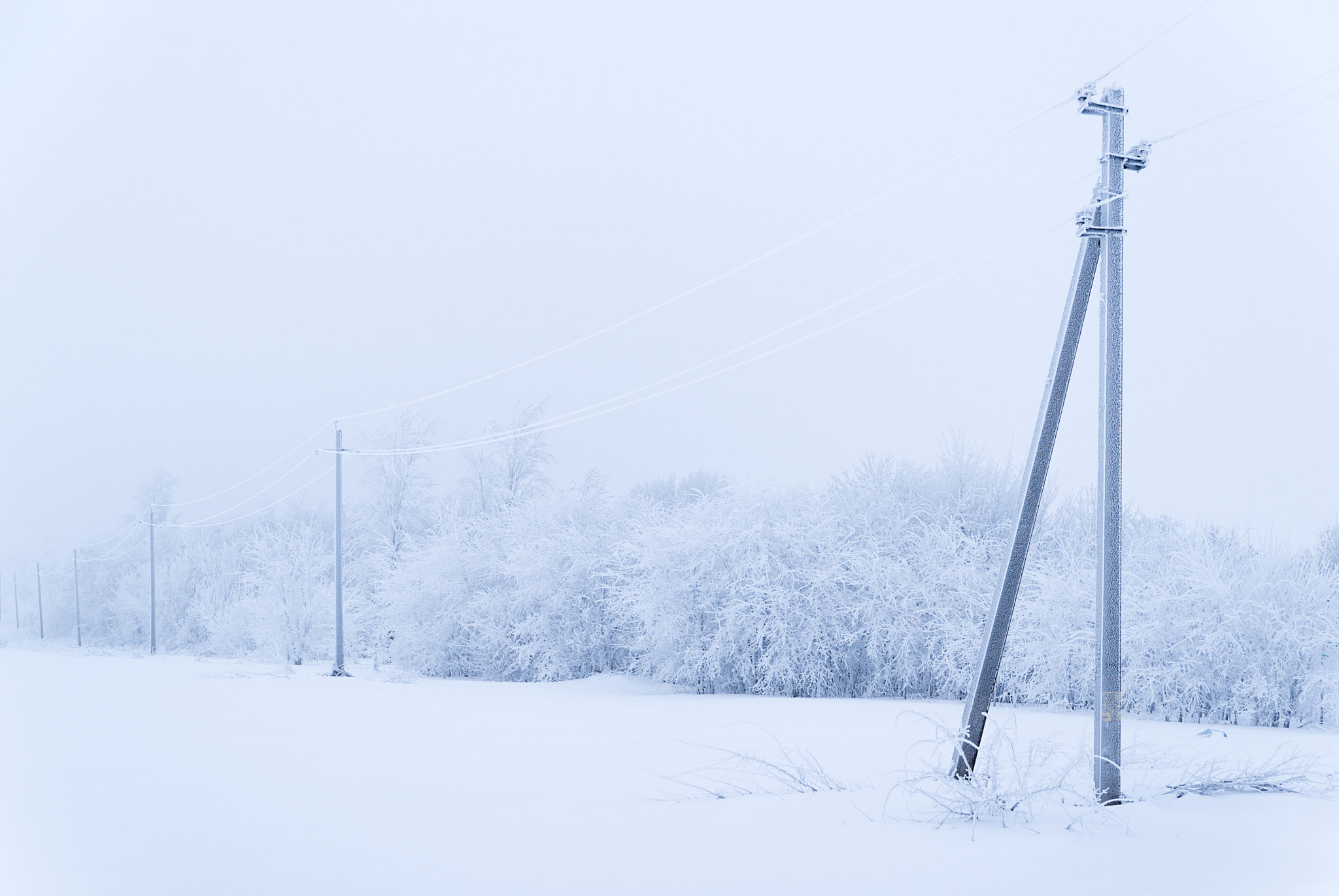 Nikon D800 + Tamron AF 28-75mm F2.8 XR Di LD Aspherical (IF) sample photo. The post power lines in a field photography