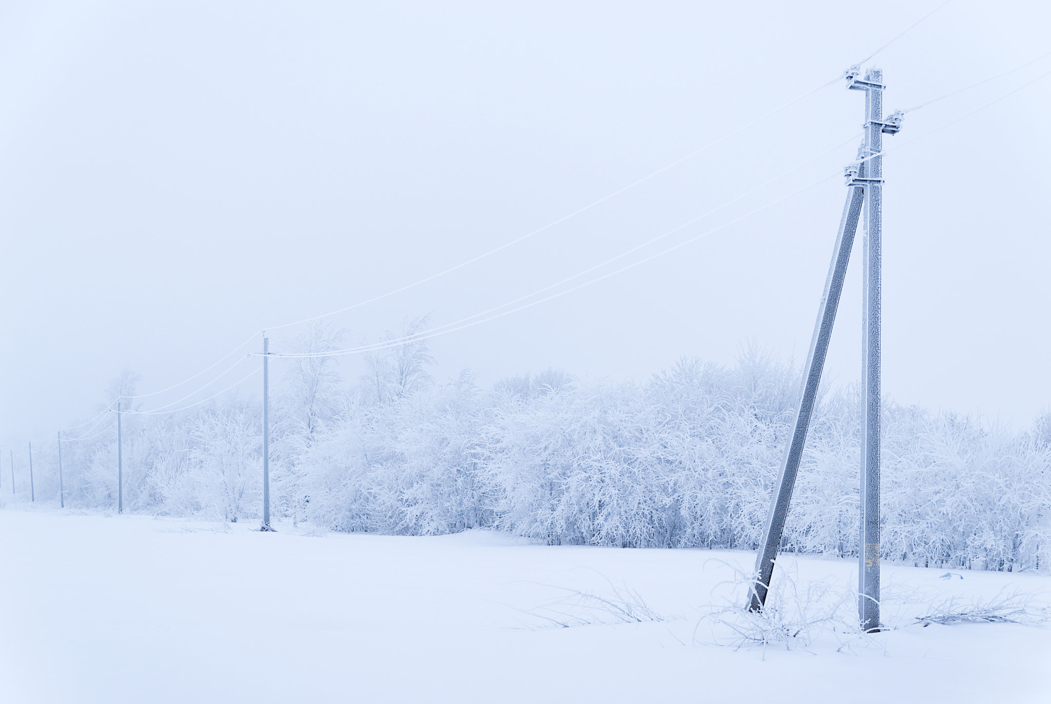Nikon D800 sample photo. The post power lines in a field photography