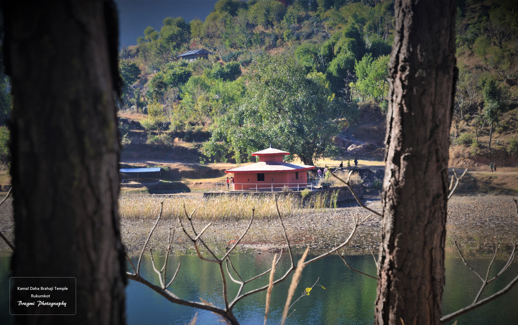 Nikon D5000 sample photo. Braji photography