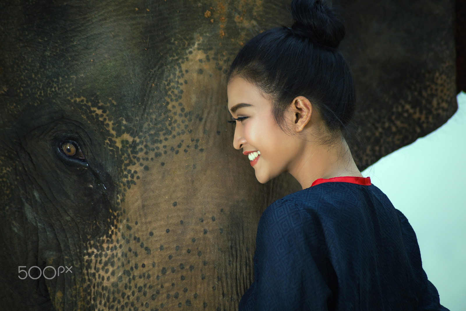Canon EOS 6D + Tamron AF 70-300mm F4-5.6 Di LD Macro sample photo. Woman with elephant photography