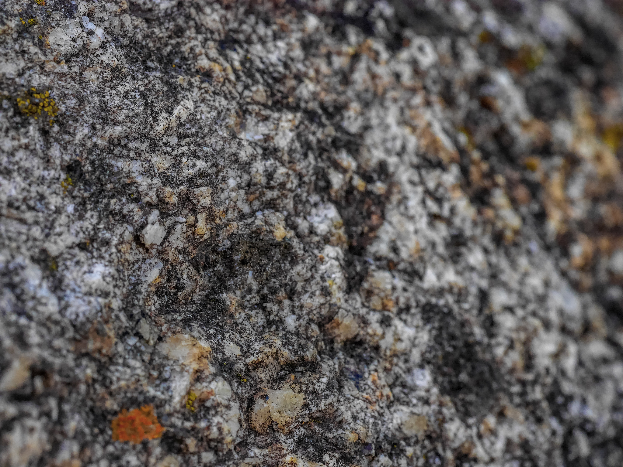 Panasonic DMC-GM1S sample photo. Textures- algae on rock photography