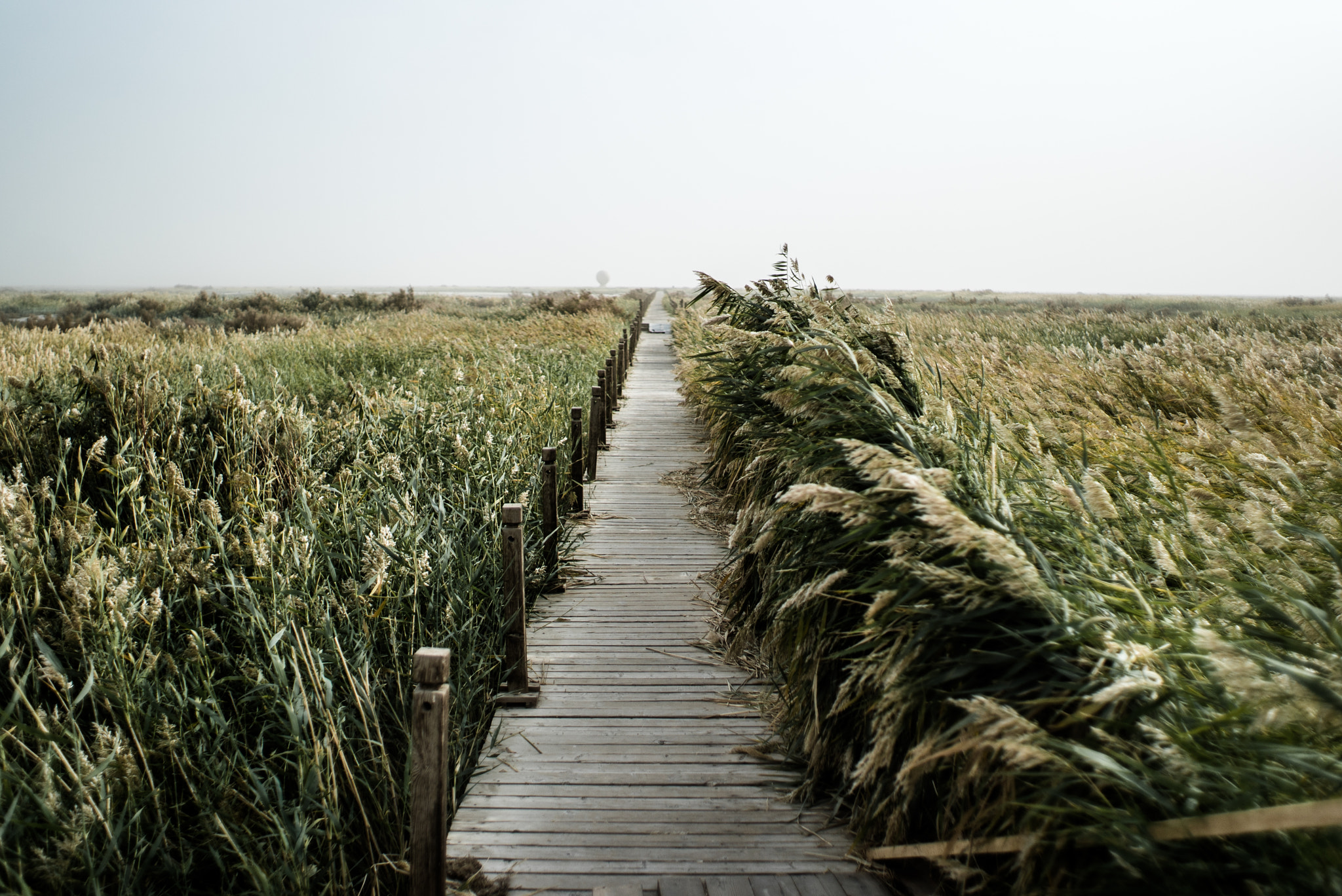 Sony a7S II sample photo. Find your way photography