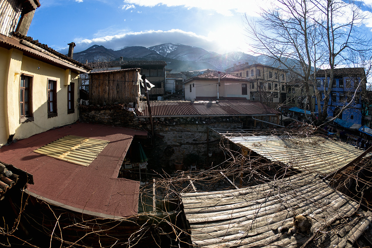 Canon EOS-1D X + Canon EF 15mm F2.8 Fisheye sample photo