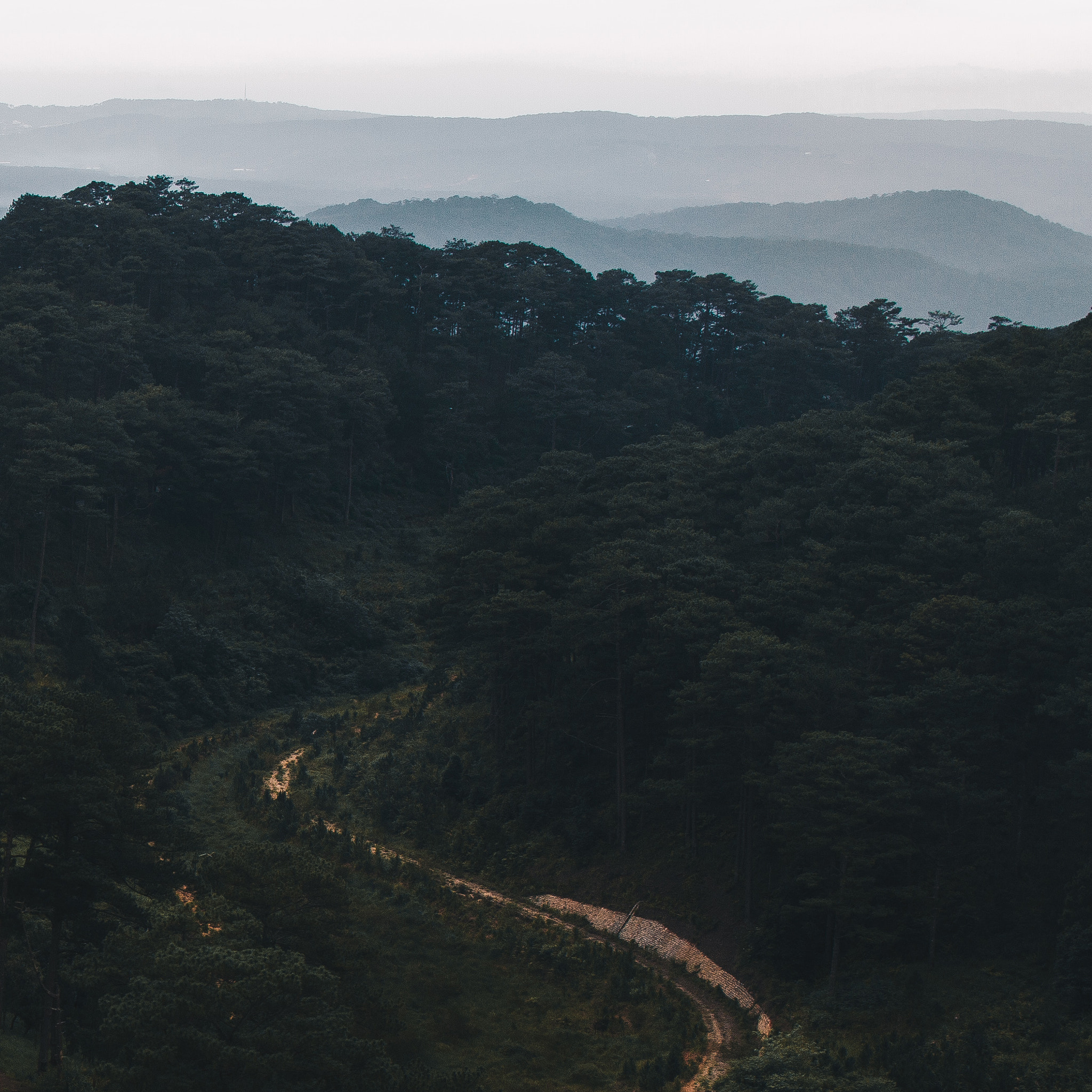 Canon EF 24mm F1.4L II USM sample photo. Vietnam photography