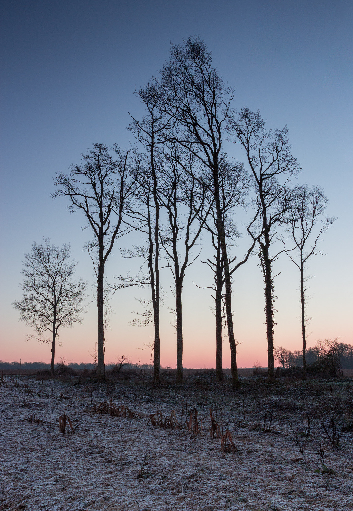 Canon EF 24-70mm F4L IS USM sample photo. Morning photography