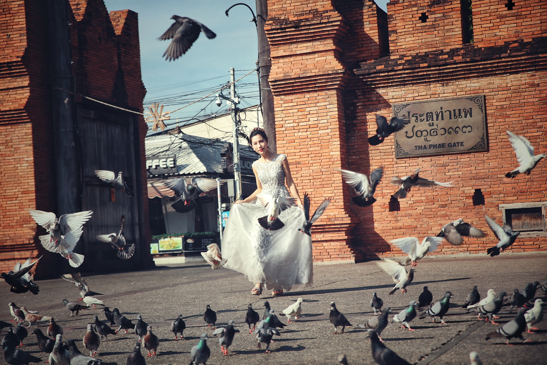 Canon 24-70mm sample photo. 奔跑 photography