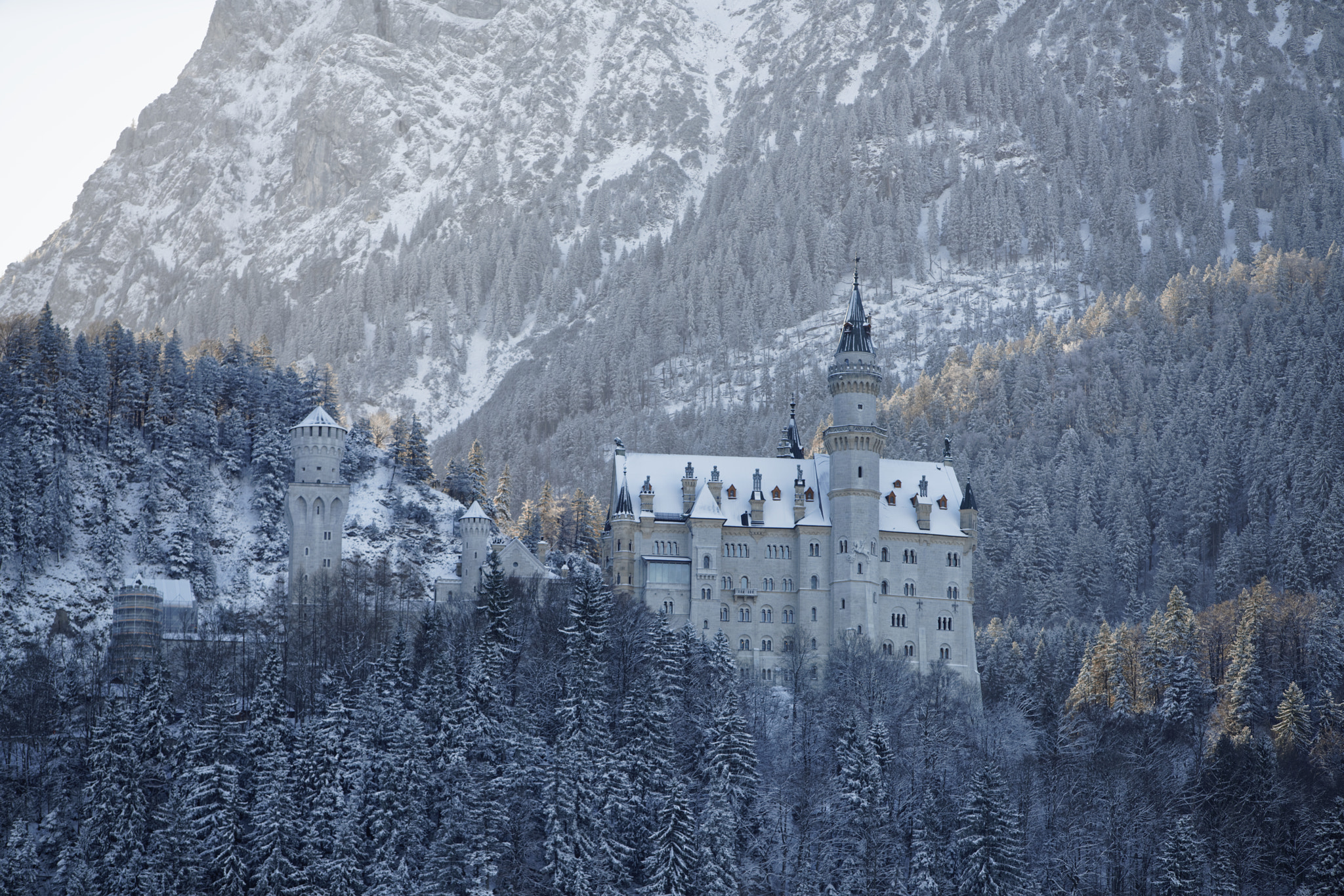 Sony a7R II sample photo. Neuschwanstein castle photography