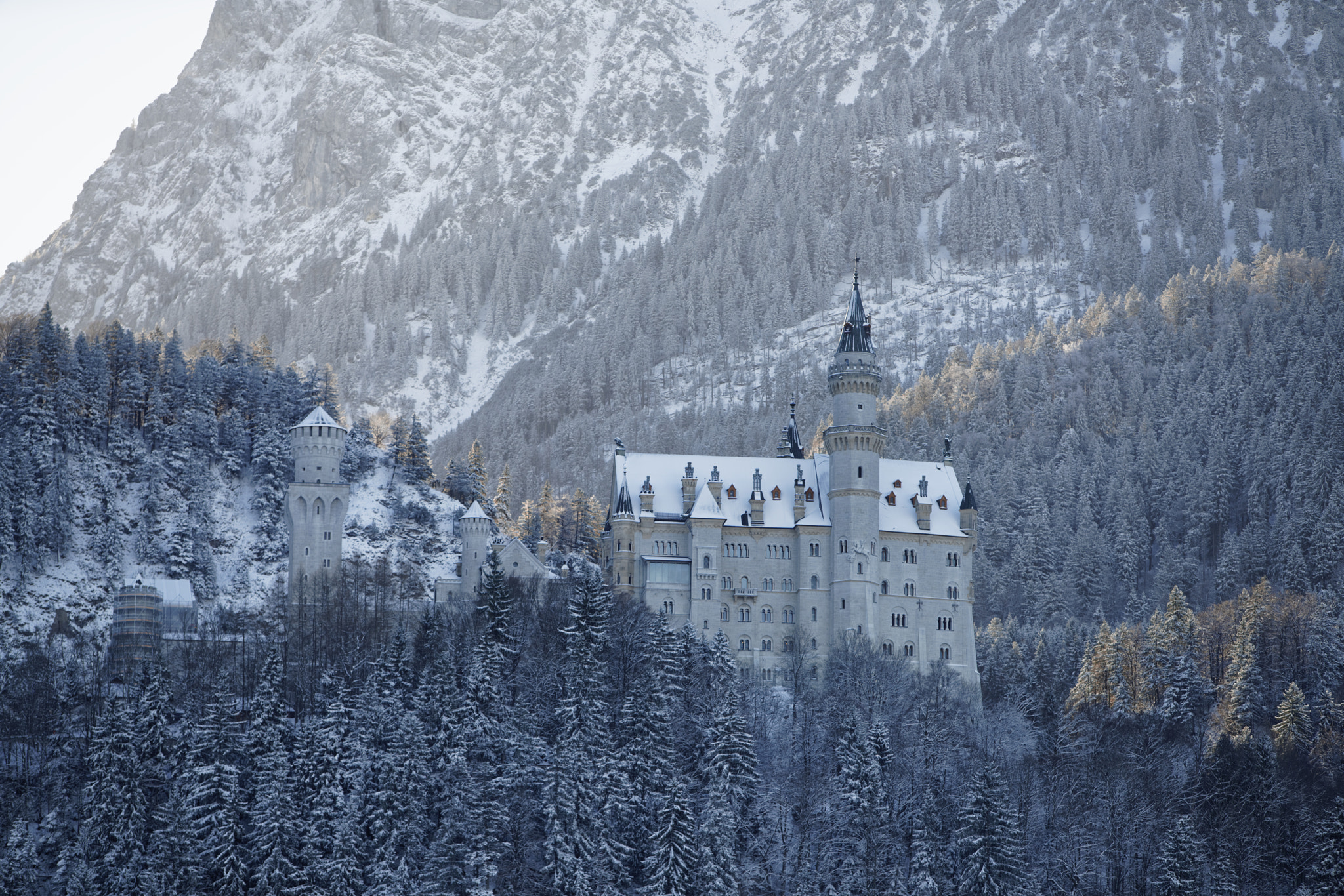 Sony a7R II + Canon EF 70-200mm F2.8L IS USM sample photo. Neuschwanstein castle photography