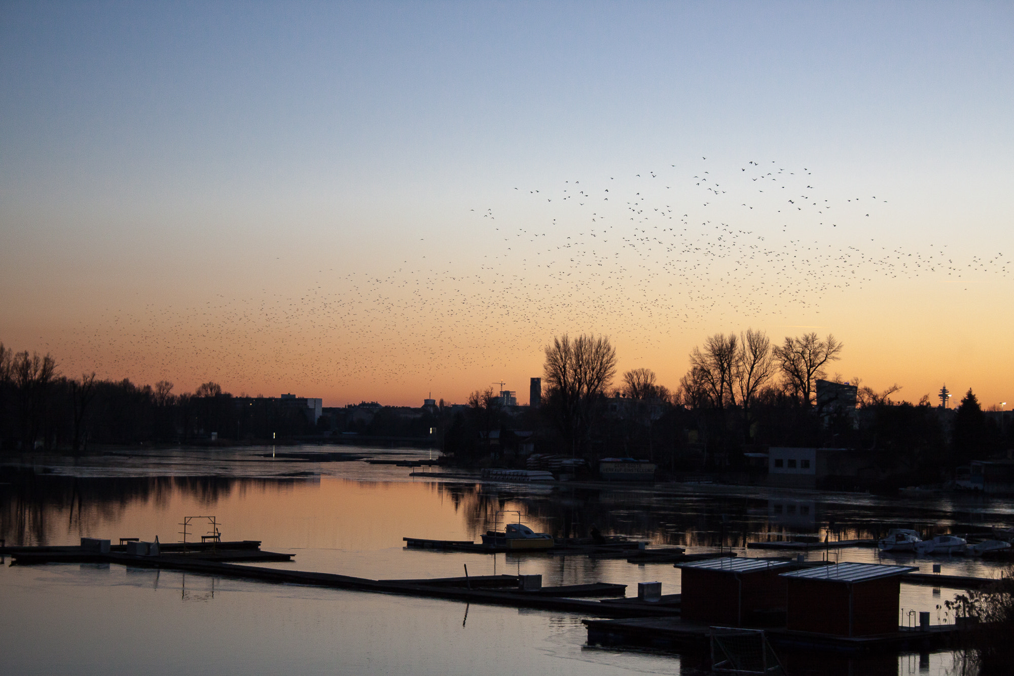 Canon EF-S 18-55mm F3.5-5.6 II sample photo. Orange fly photography