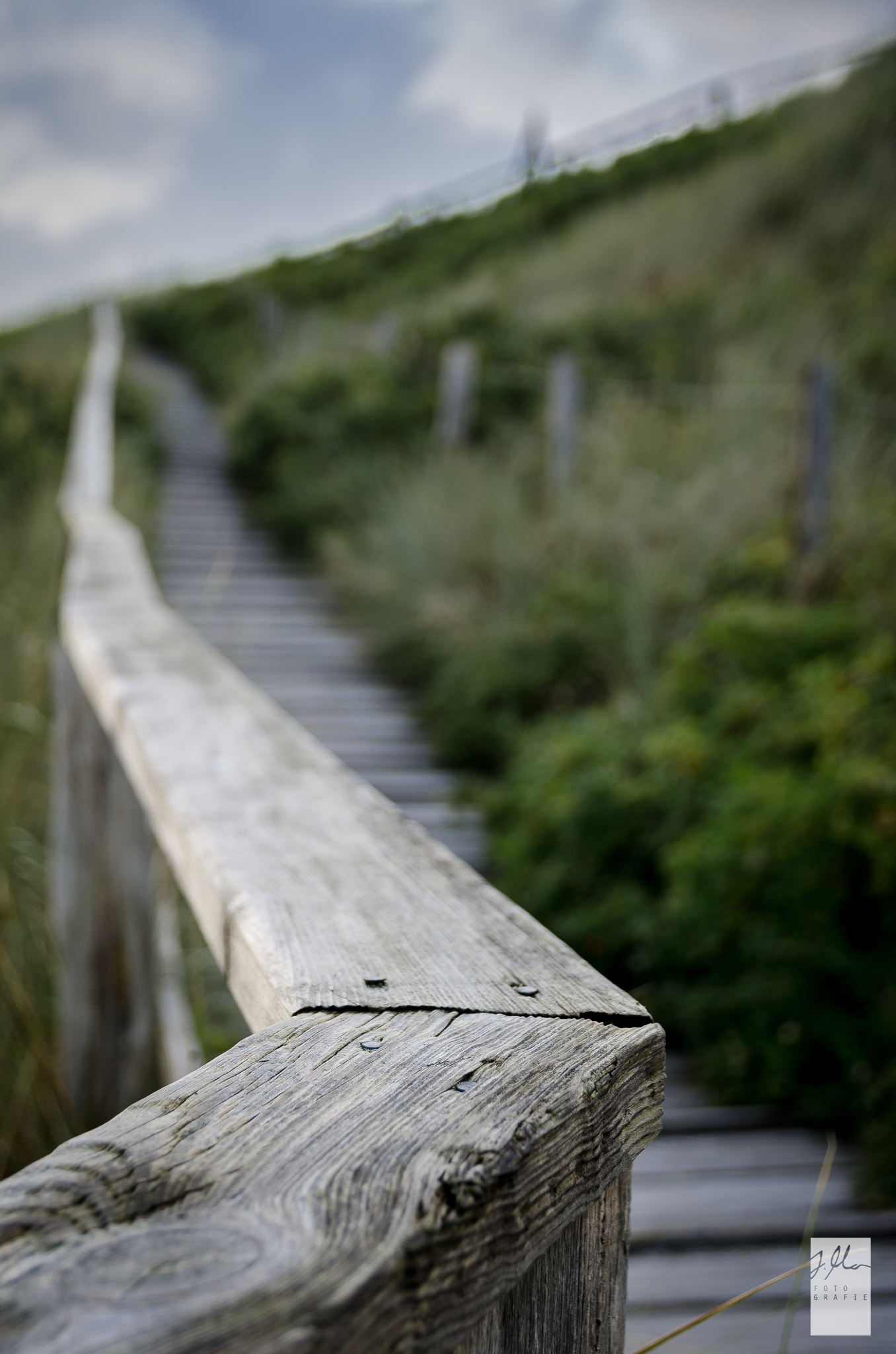 Sigma 17-70mm F2.8-4 DC Macro OS HSM | C sample photo. Off the track. photography