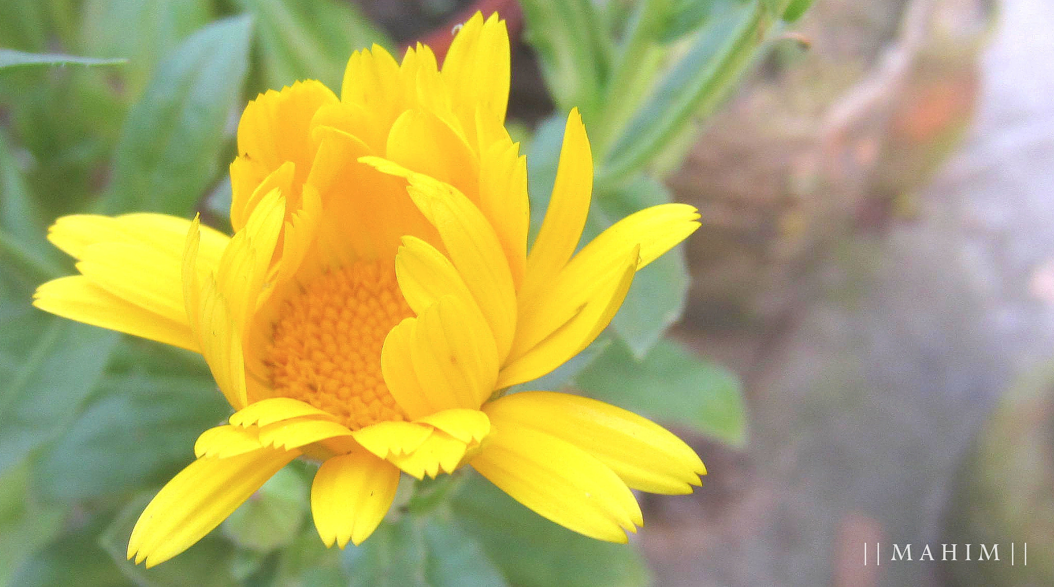 Canon PowerShot ELPH 300 HS (IXUS 220 HS / IXY 410F) sample photo