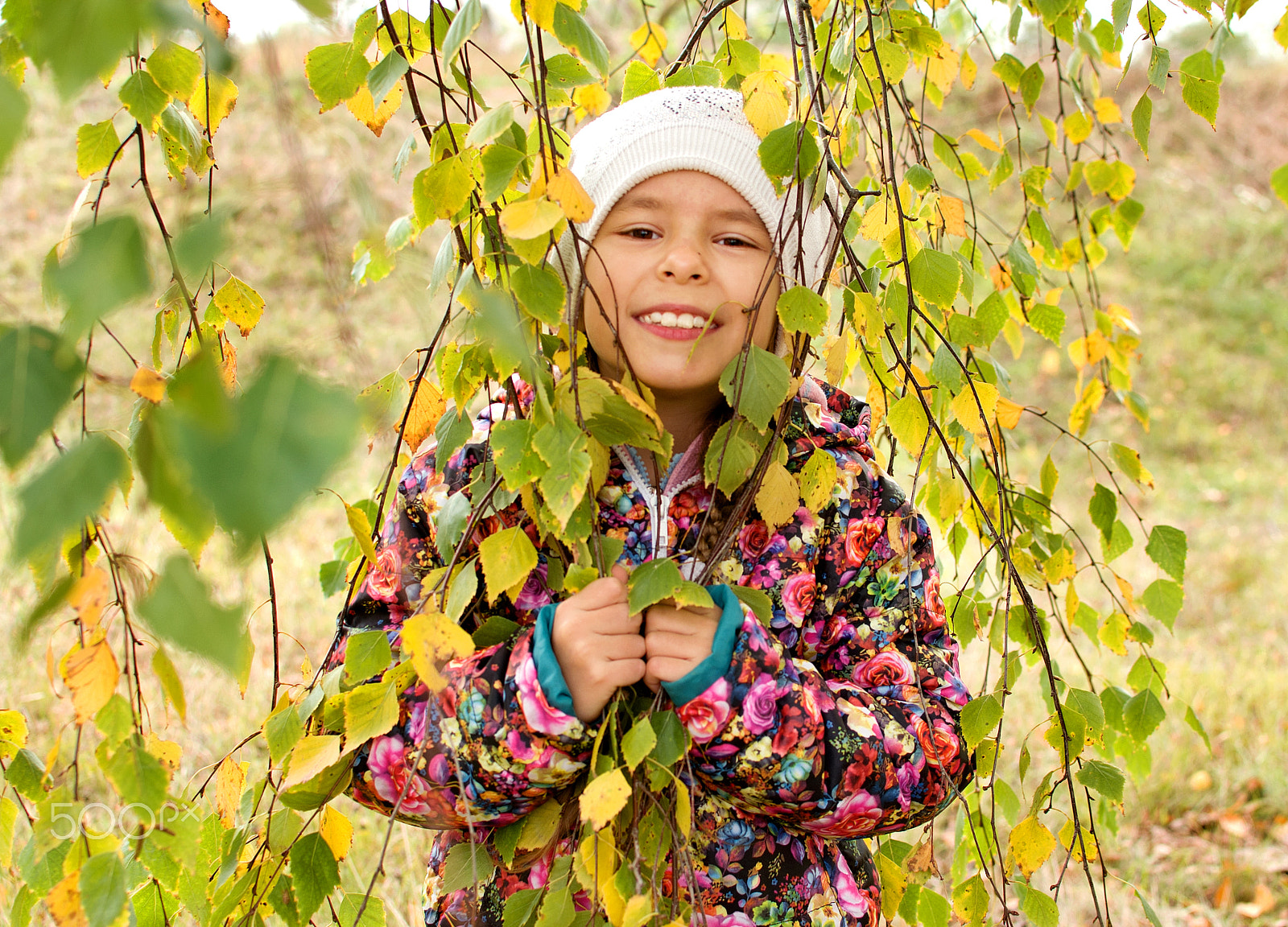 Nikon D80 sample photo. Birch tree and julia photography