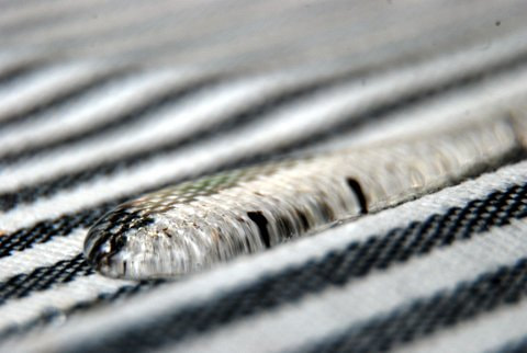 Nikon D80 sample photo