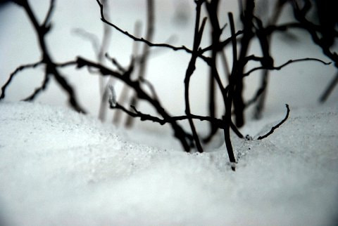 Nikon D80 sample photo