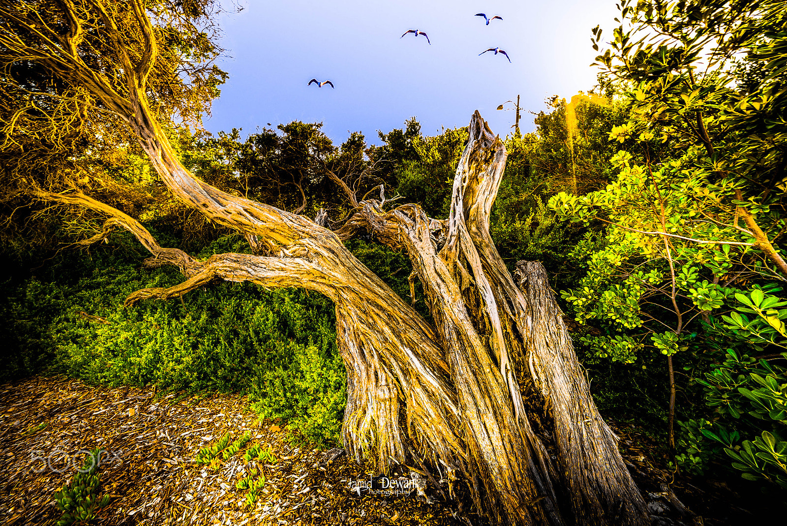Samyang 14mm F2.8 ED AS IF UMC sample photo. Brighton beach- victoria photography