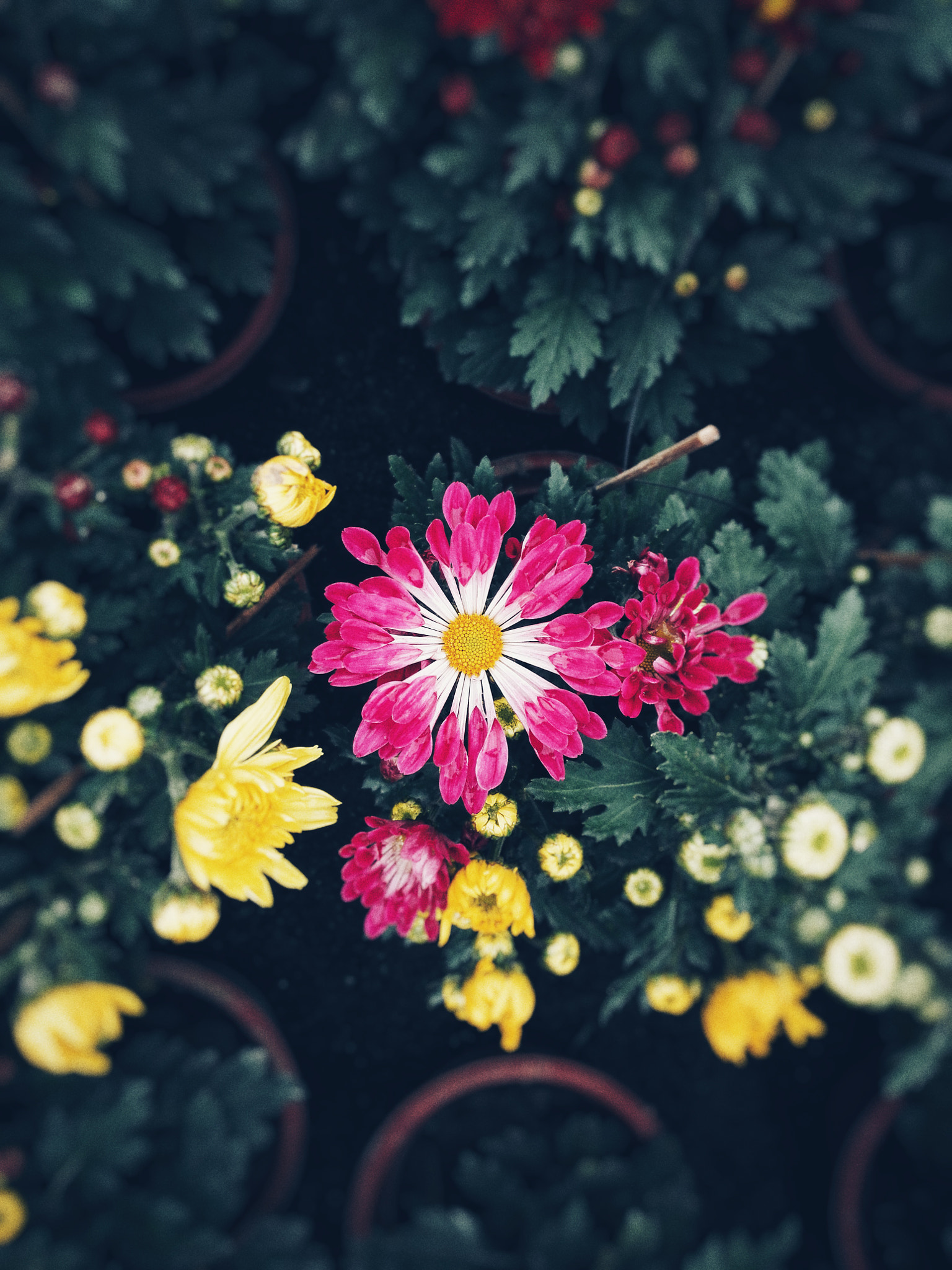 HUAWEI H60-L01 sample photo