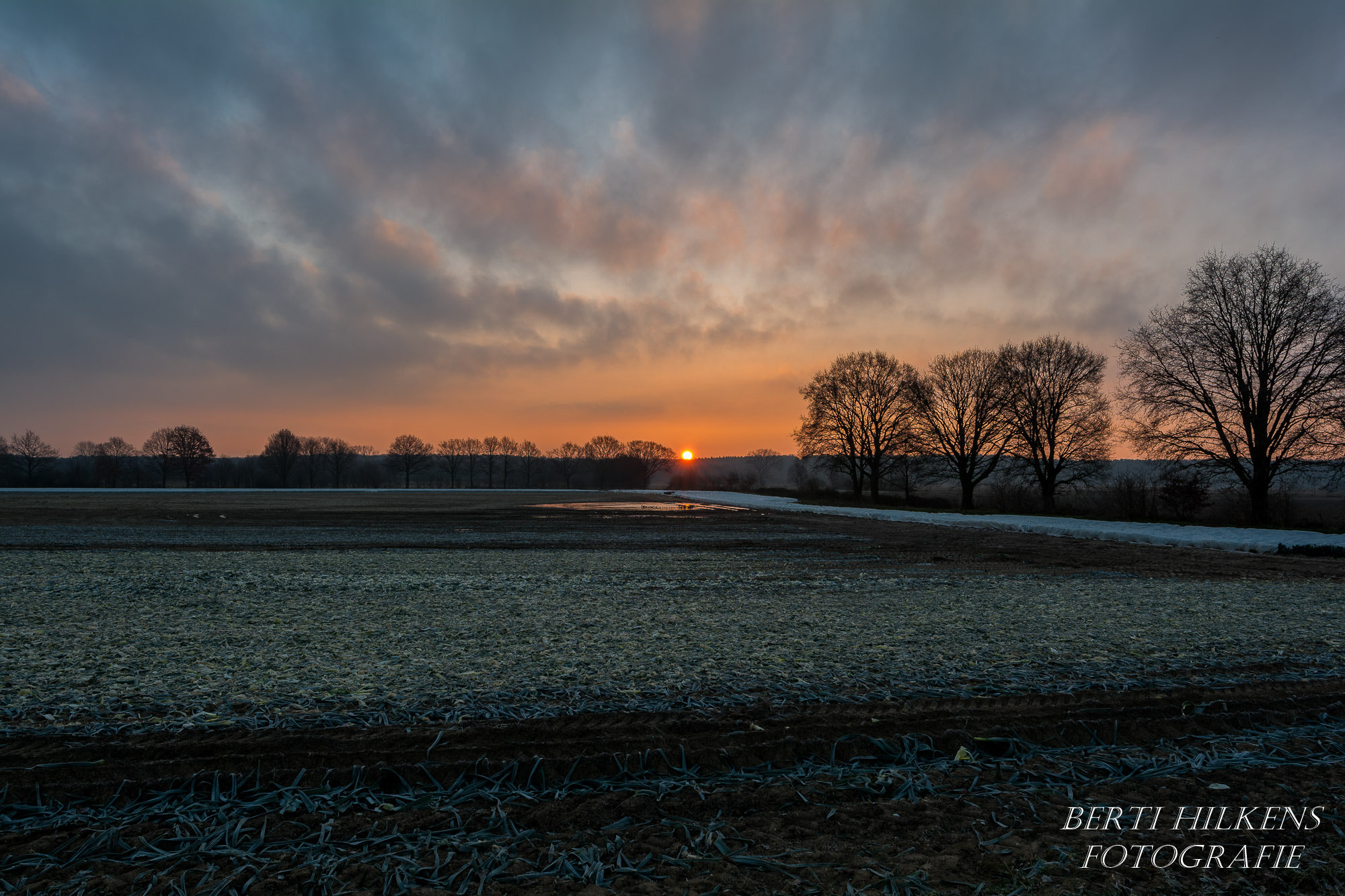 Tamron SP 15-30mm F2.8 Di VC USD sample photo. Sunrise photography
