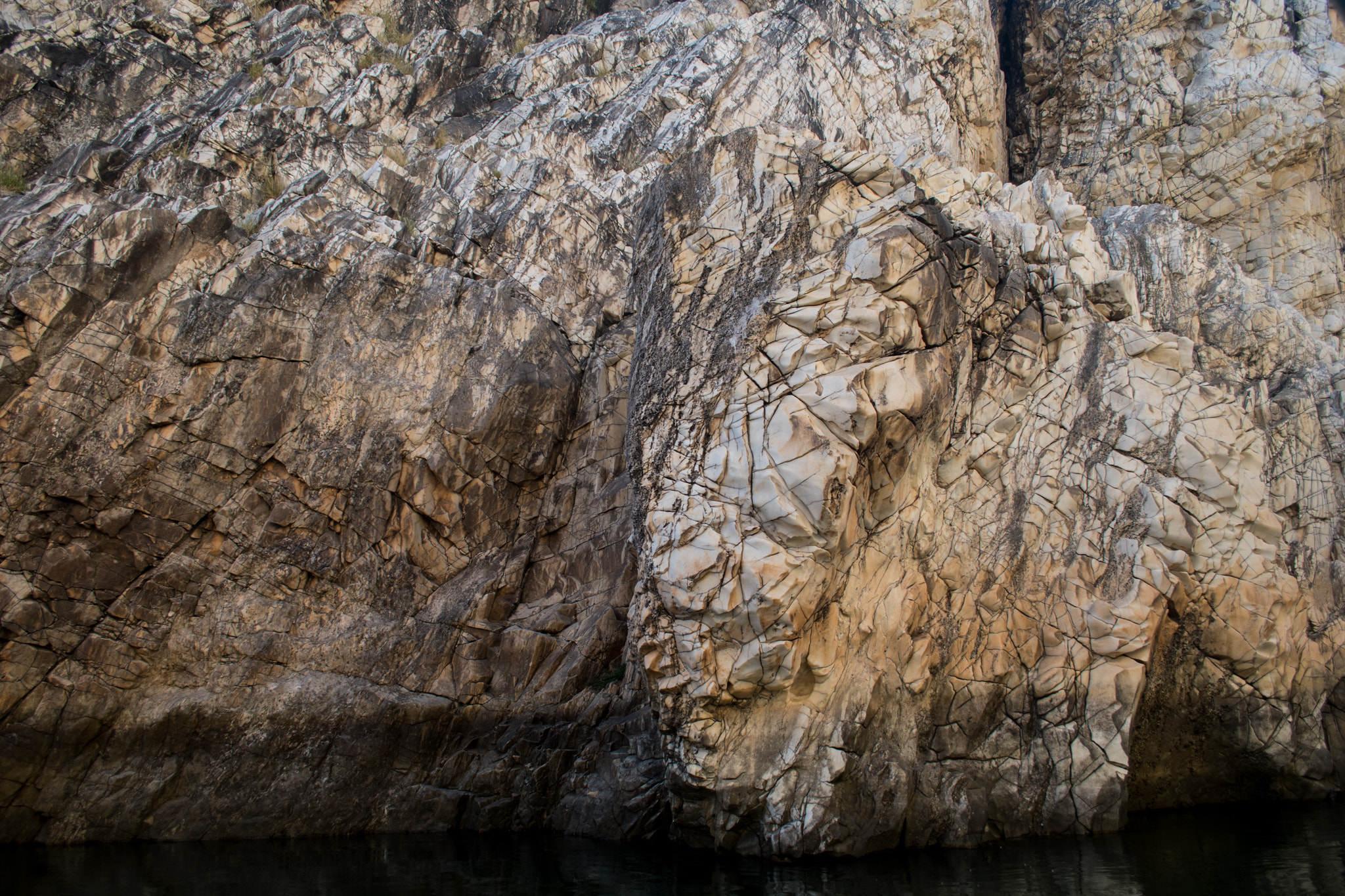 Nikon D500 sample photo. Elephant marble photography