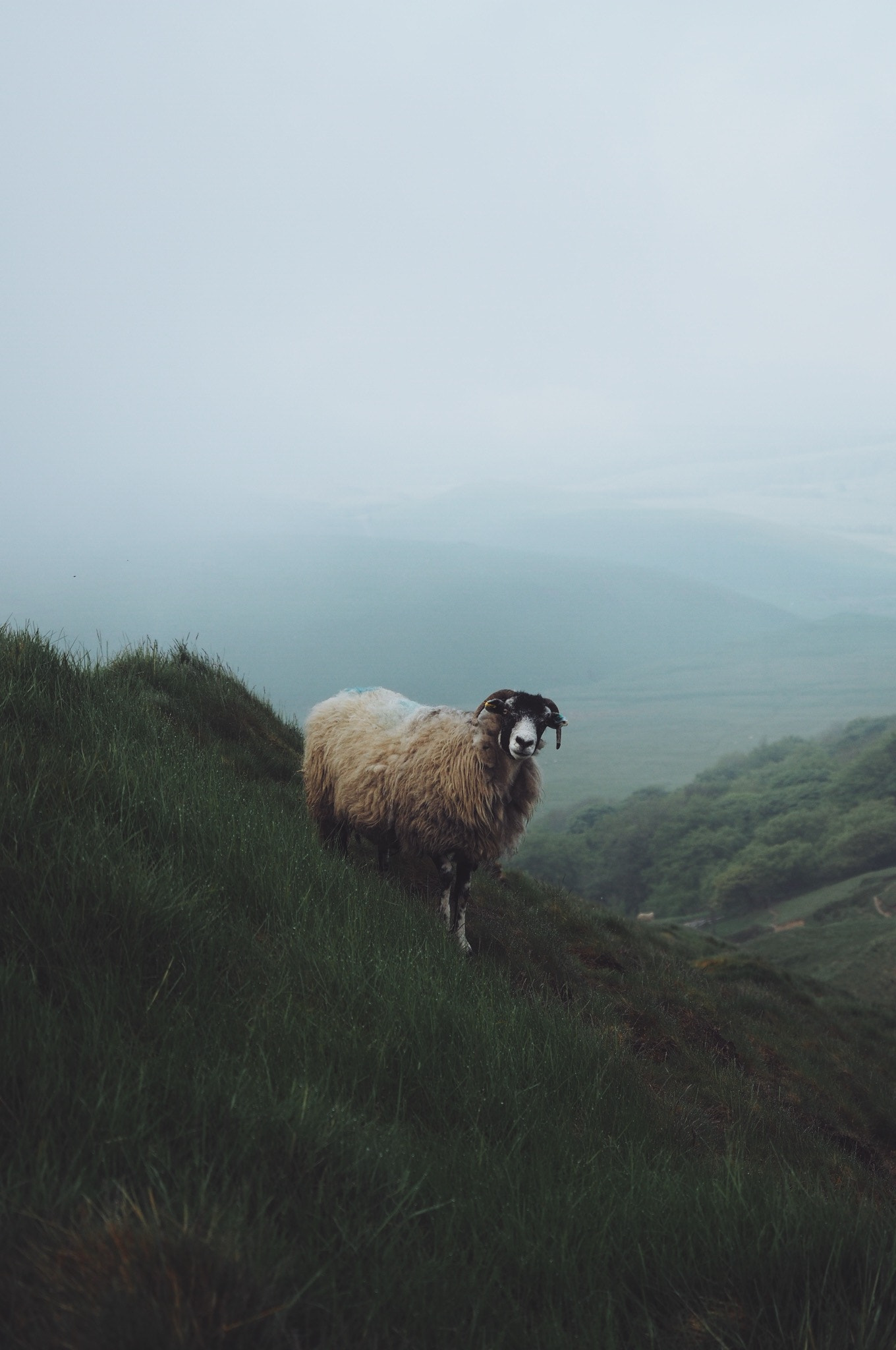 Olympus M.Zuiko Digital ED 12-40mm F2.8 Pro sample photo. Mam tor high peak uk photography