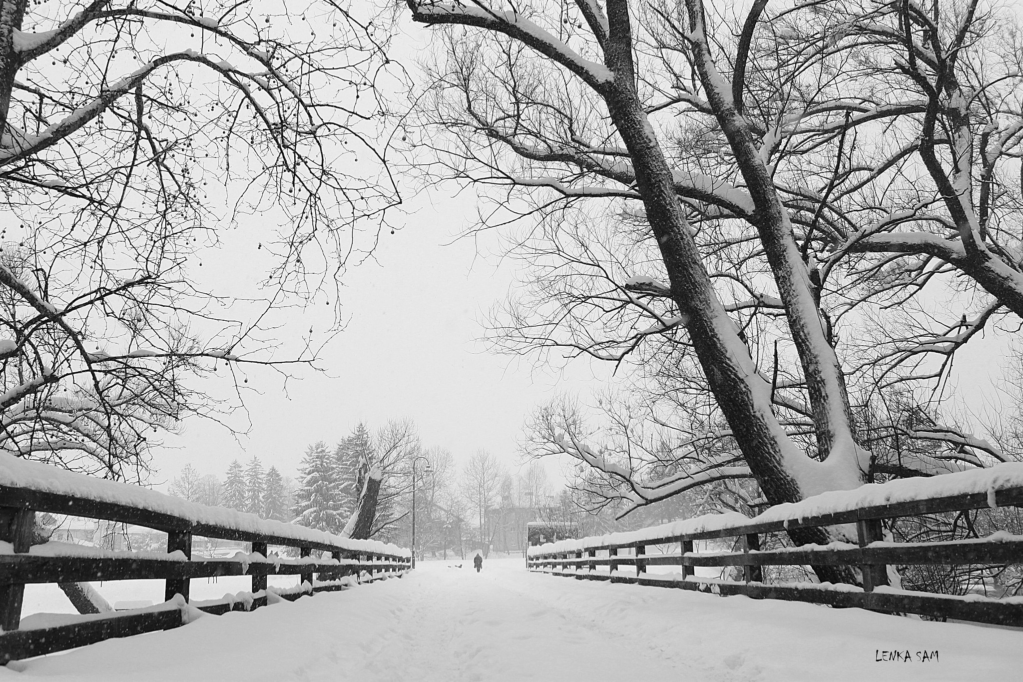 Canon EOS 500D (EOS Rebel T1i / EOS Kiss X3) sample photo. Winter dreams photography