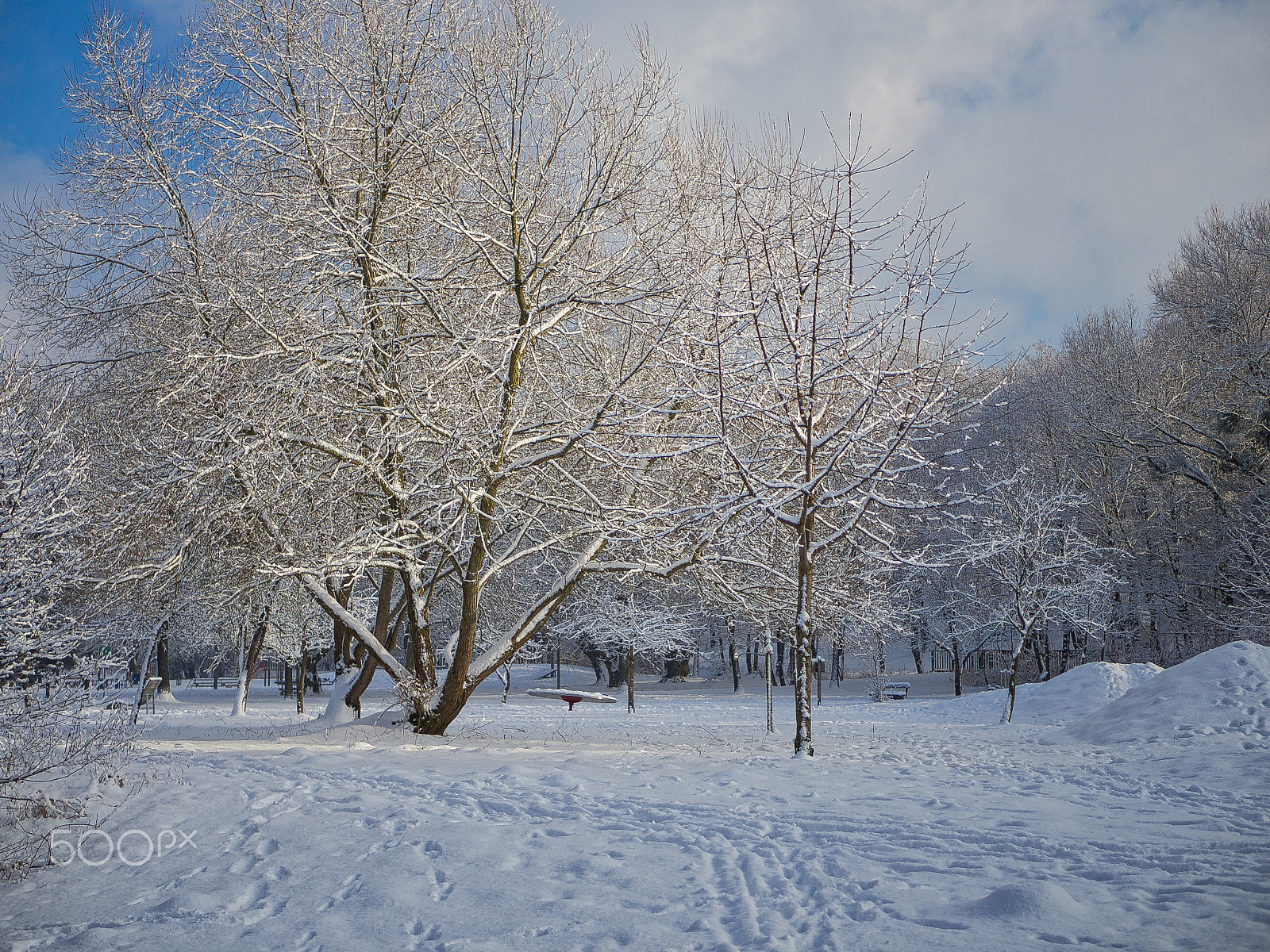 Olympus OM-D E-M10 sample photo. Schnee wüste photography