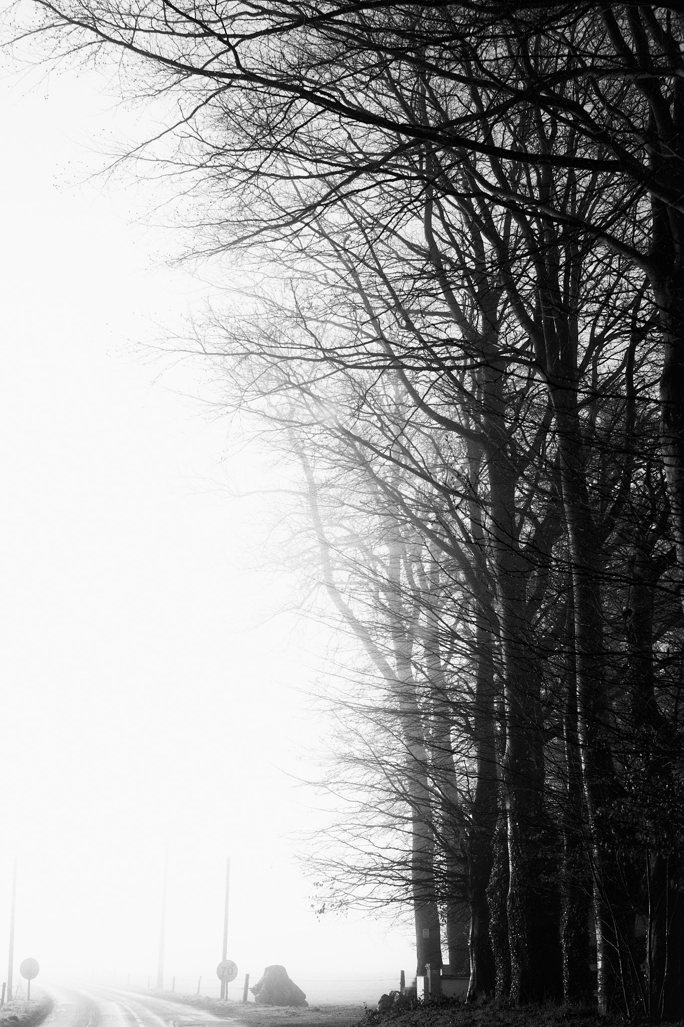 Canon EF 35mm F2 IS USM sample photo. In my dreams photography
