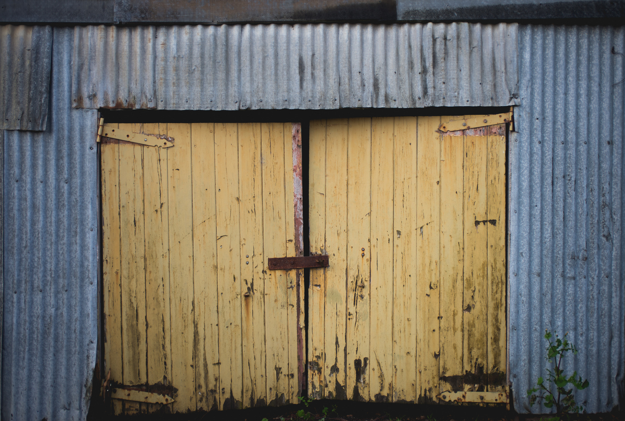 Nikon D610 sample photo. Yellow doors - end wars photography