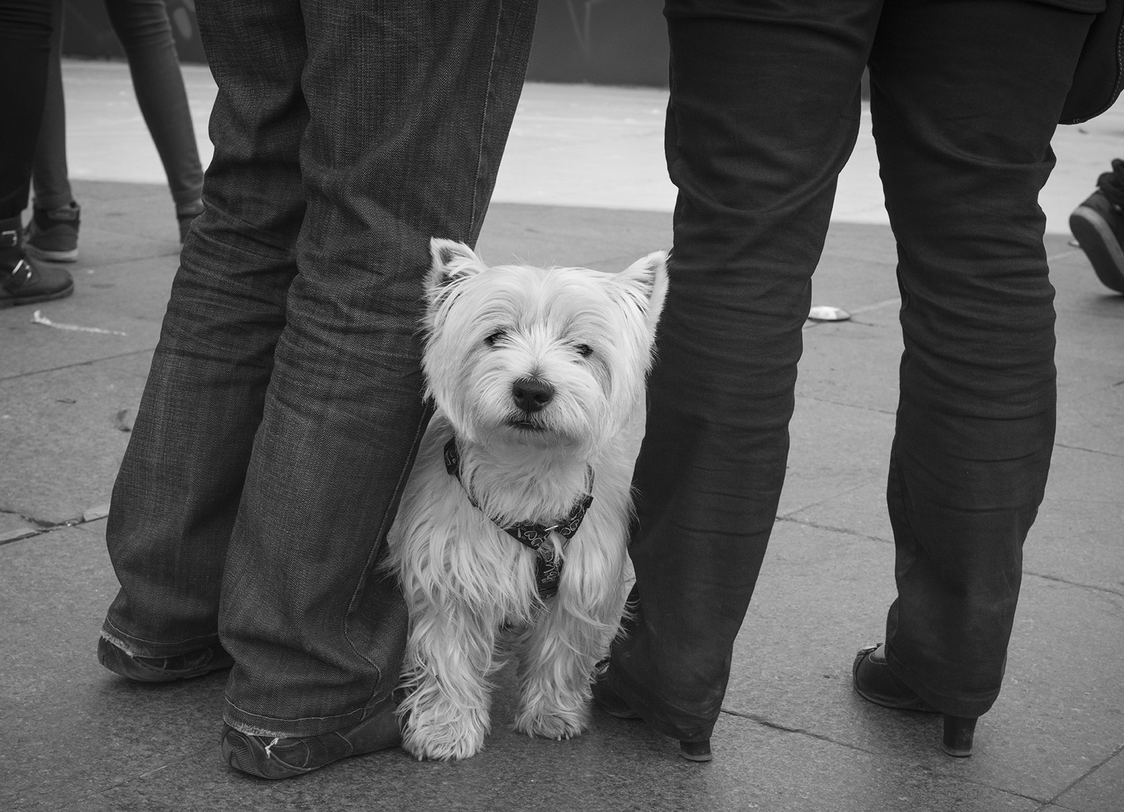 Nikon D800 + AF Nikkor 50mm f/1.8 sample photo. Toulouse photography