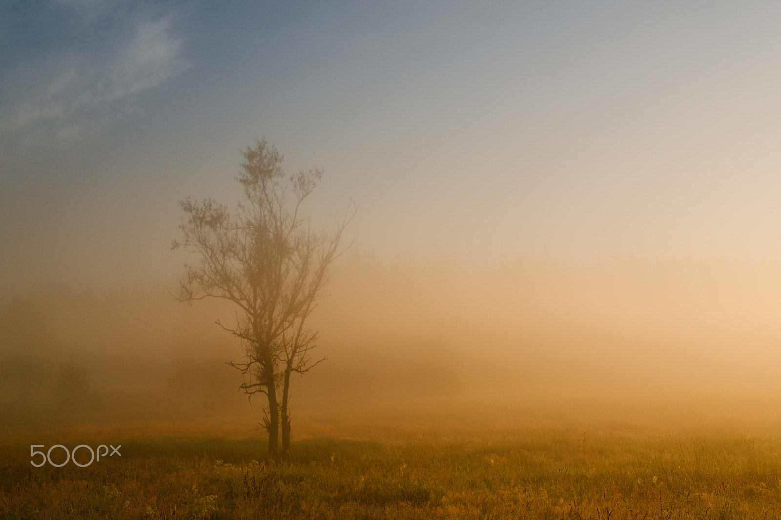 Nikon D7000 sample photo. Misty morning photography