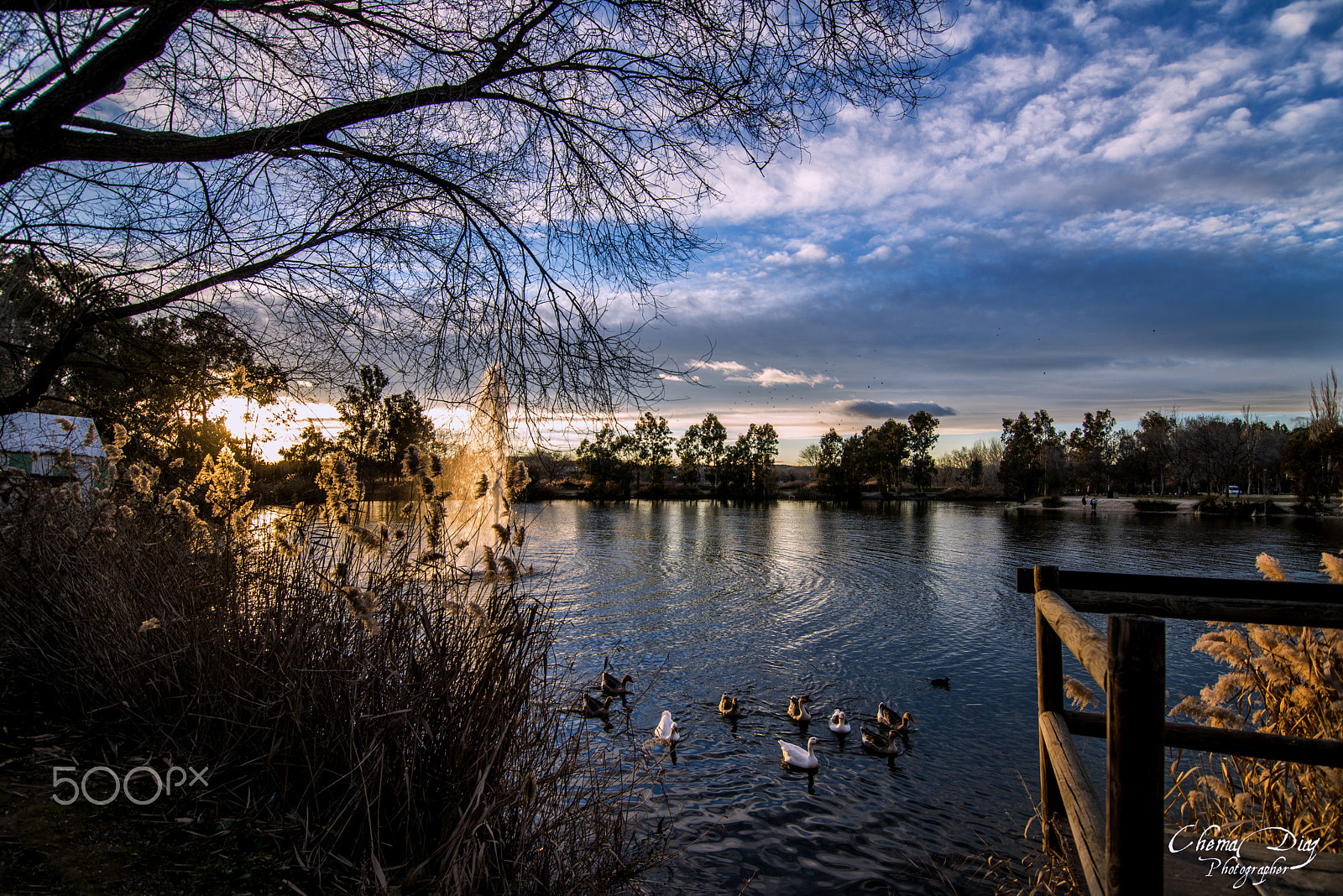 Nikon D800 sample photo. Atardecer. photography