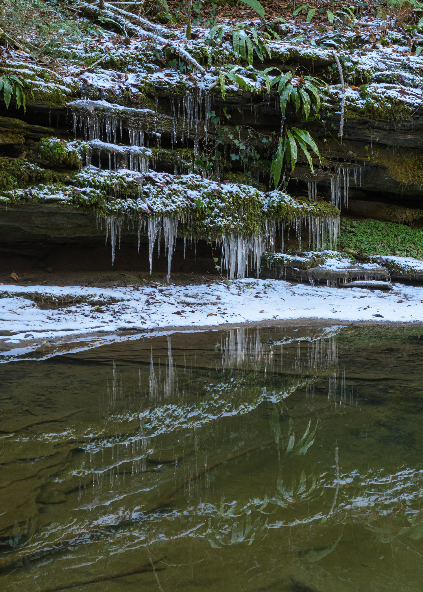 Nikon D500 sample photo. Icicle reflection photography
