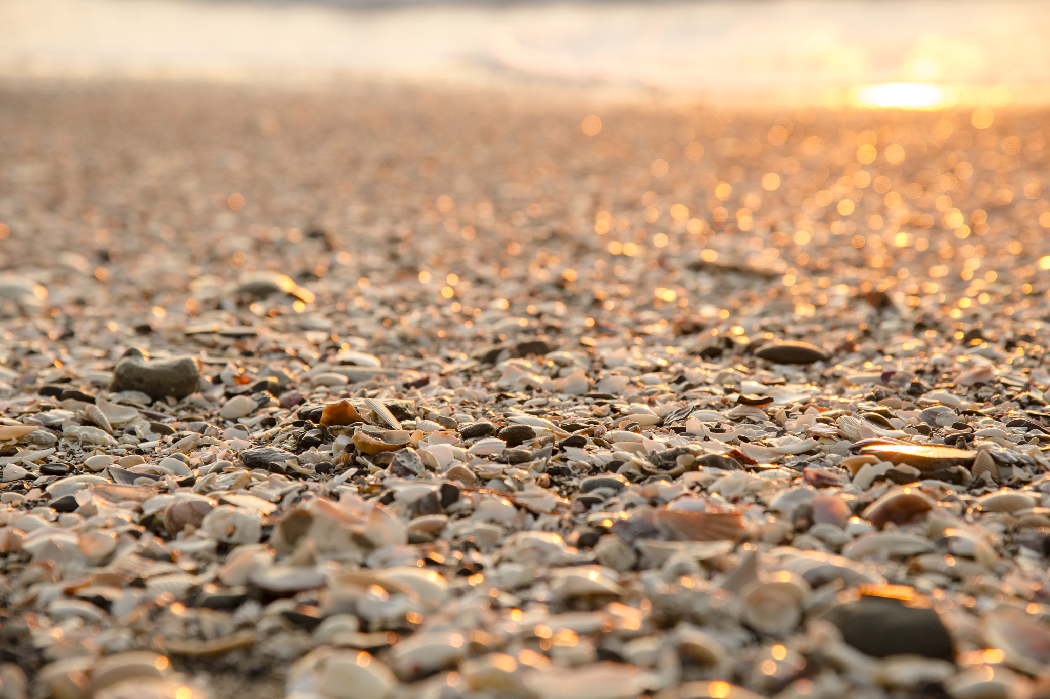 Nikon Df sample photo. Sunset beach photography