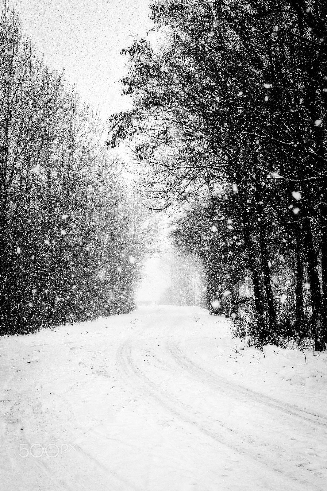 Sigma 18-35mm f/1.8 DC HSM sample photo. Snowstorm photography